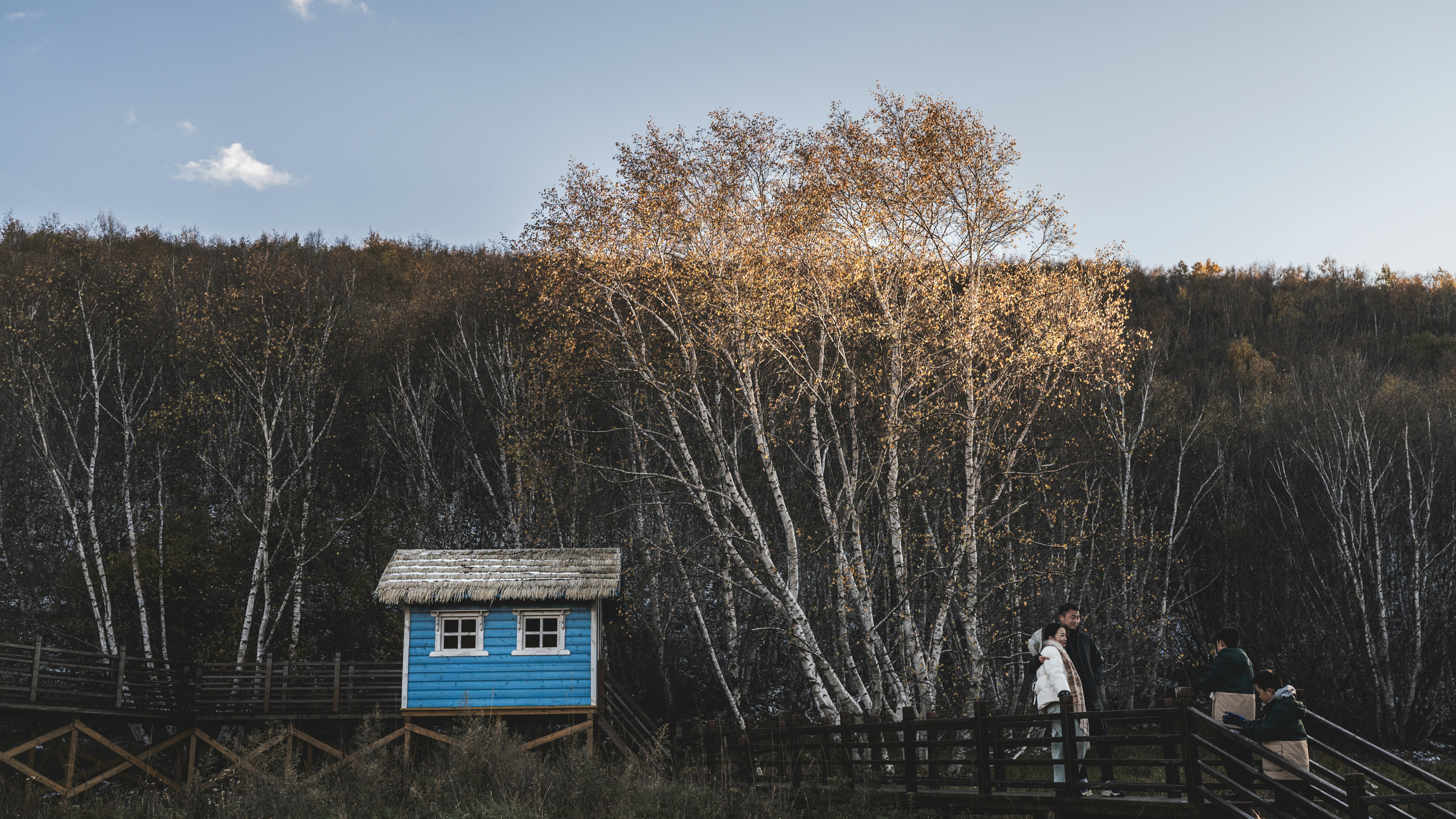 Photo by peek_a_boo_who