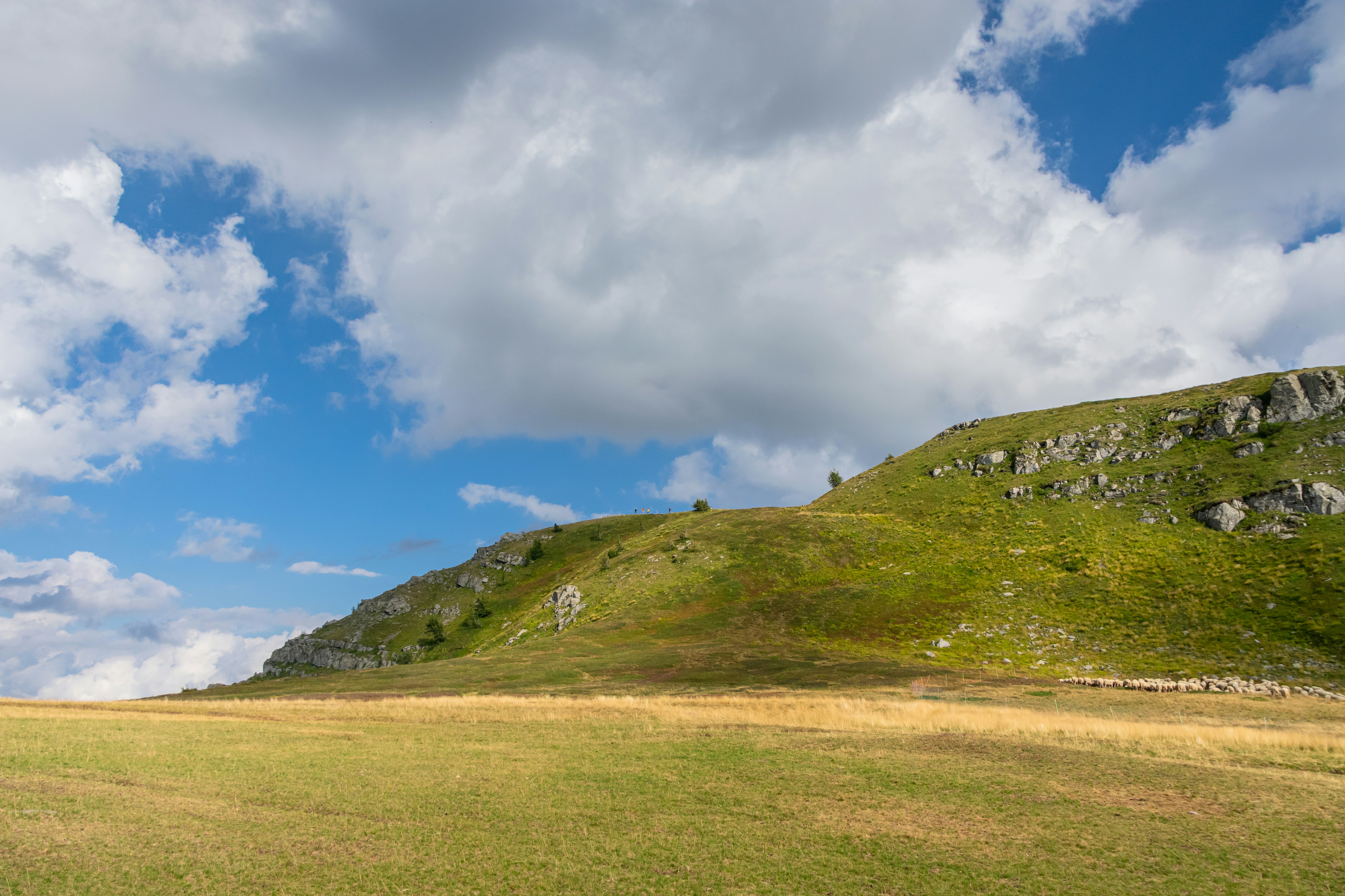 A grassy field with a hill in the background