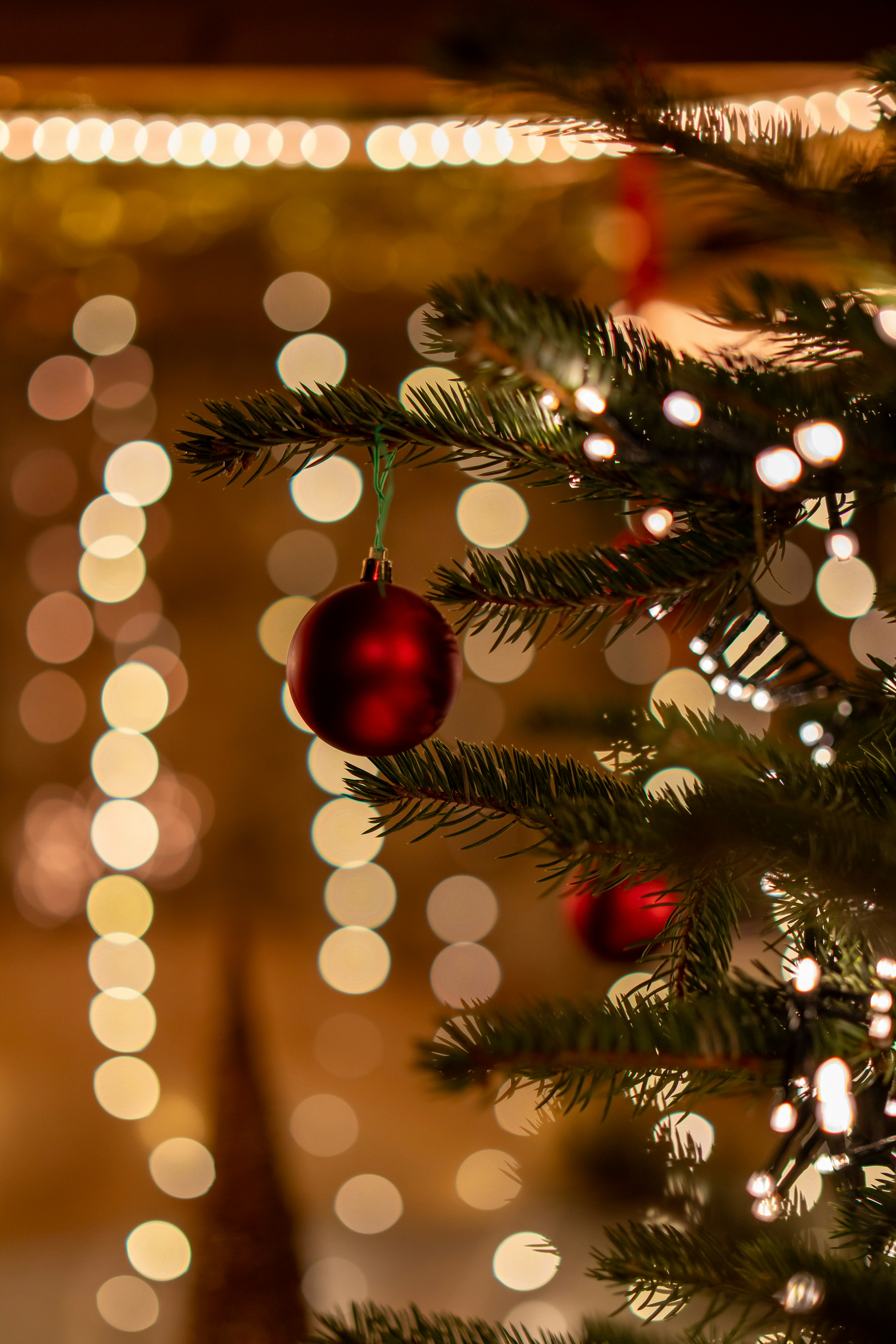 Photo by magictravel