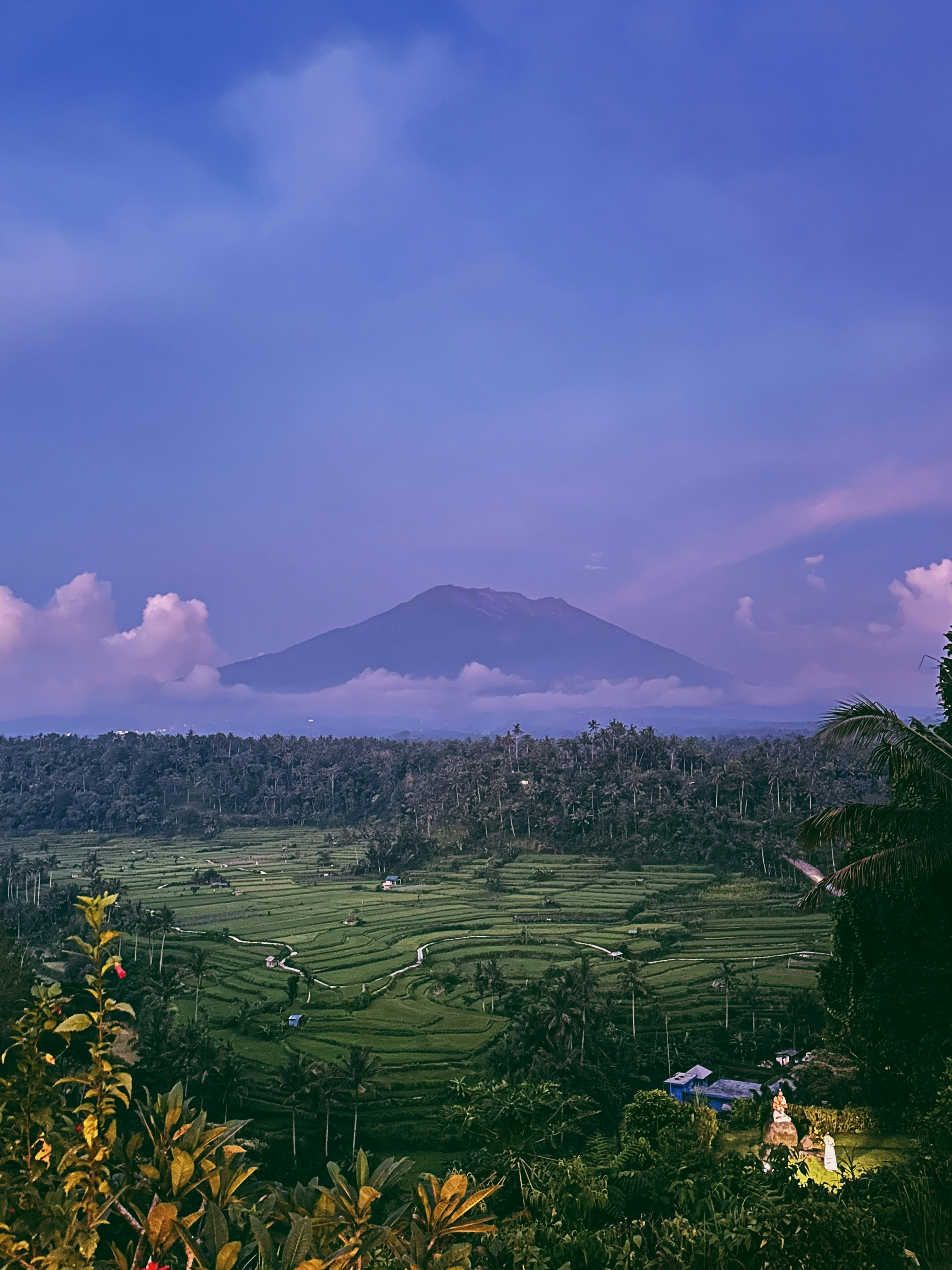 Una valle verde e lussureggiante con una montagna sullo sfondo