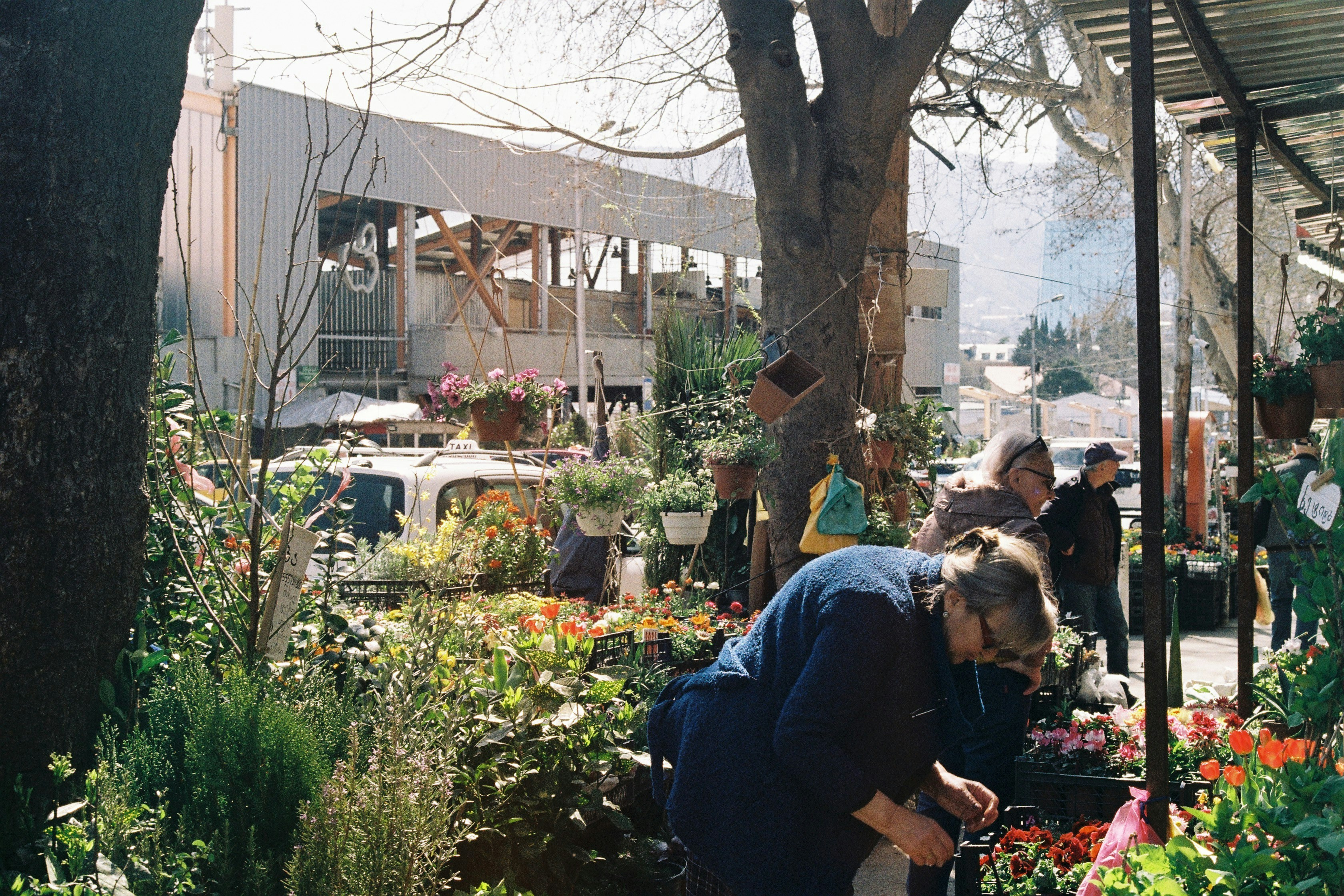 A group of people looking at plants in a garden center