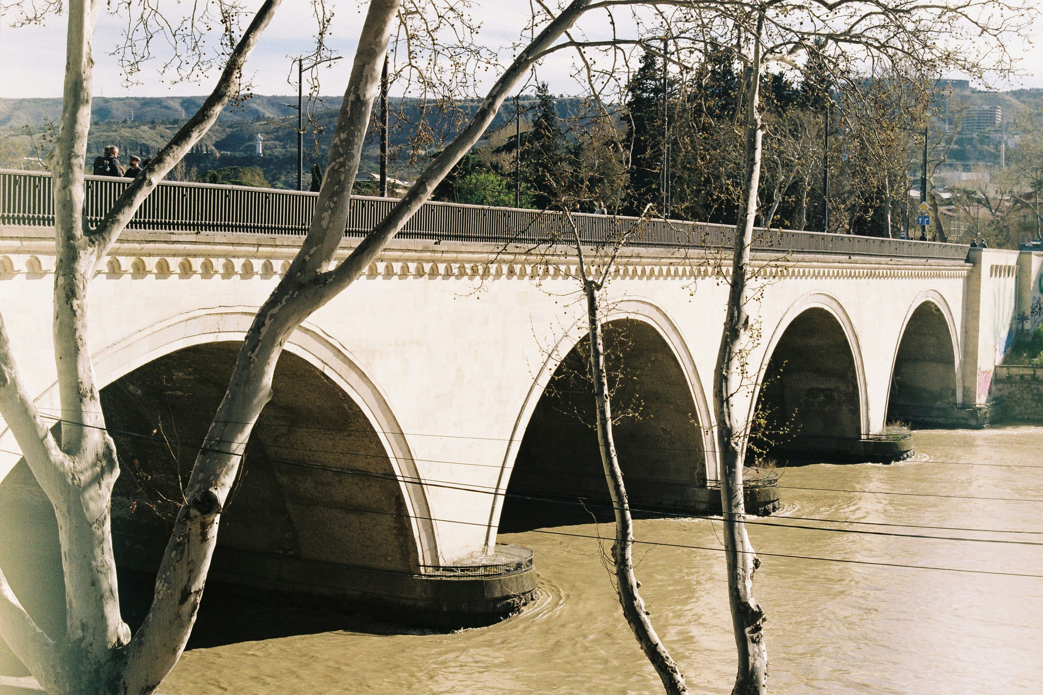 A bridge over a body of water with trees in the foreground