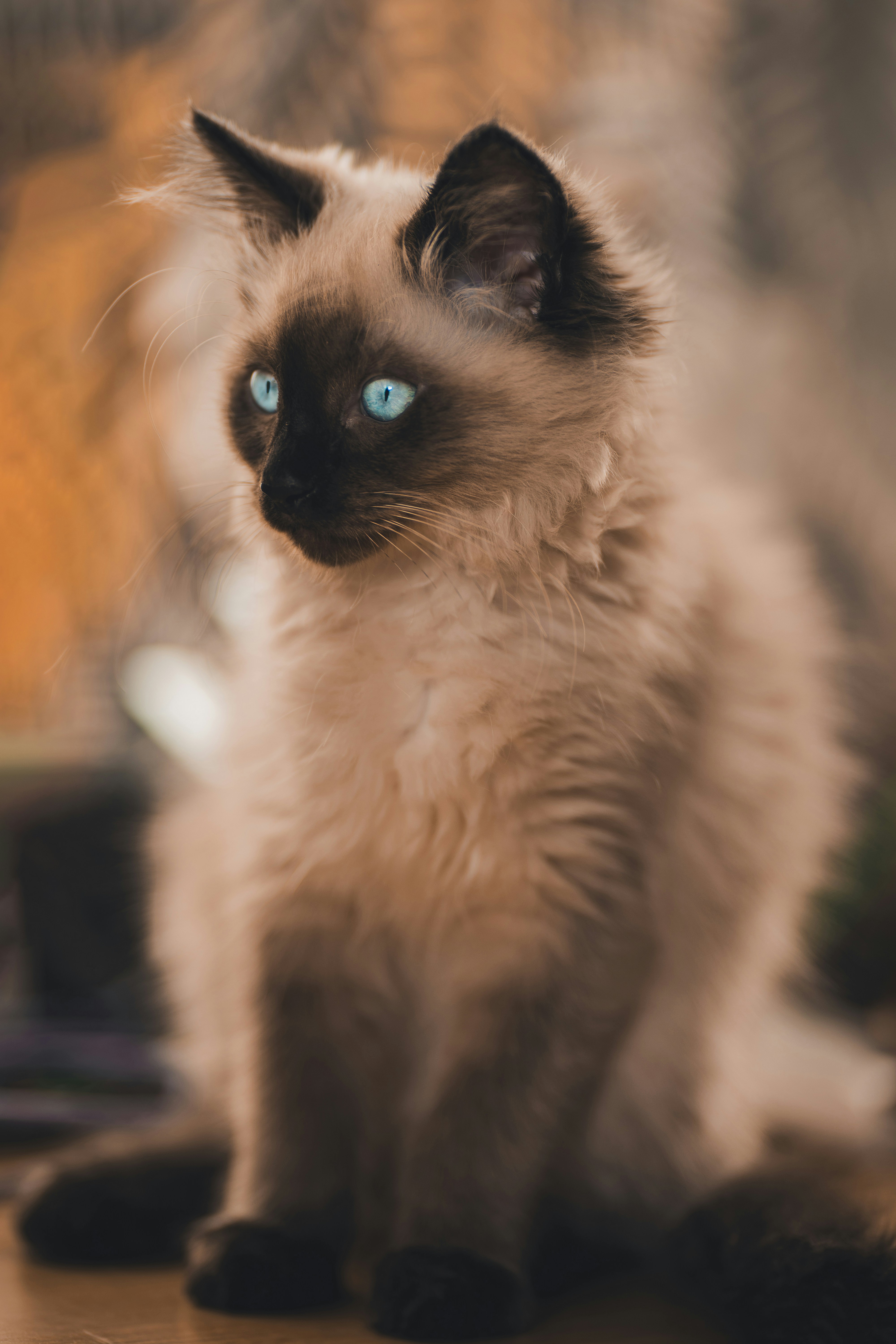 Photo by lukasparnican