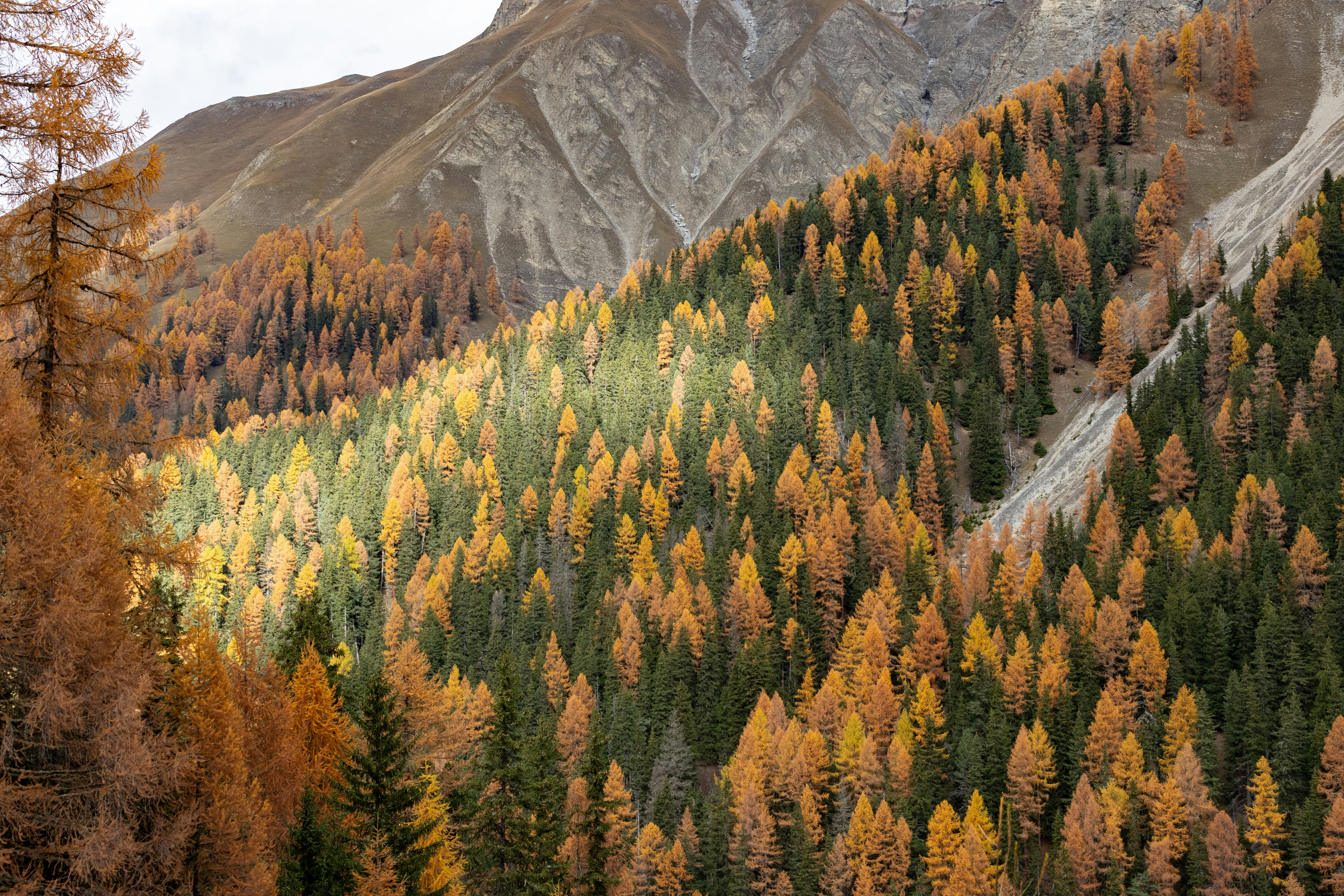 Photo by rafaelpeier