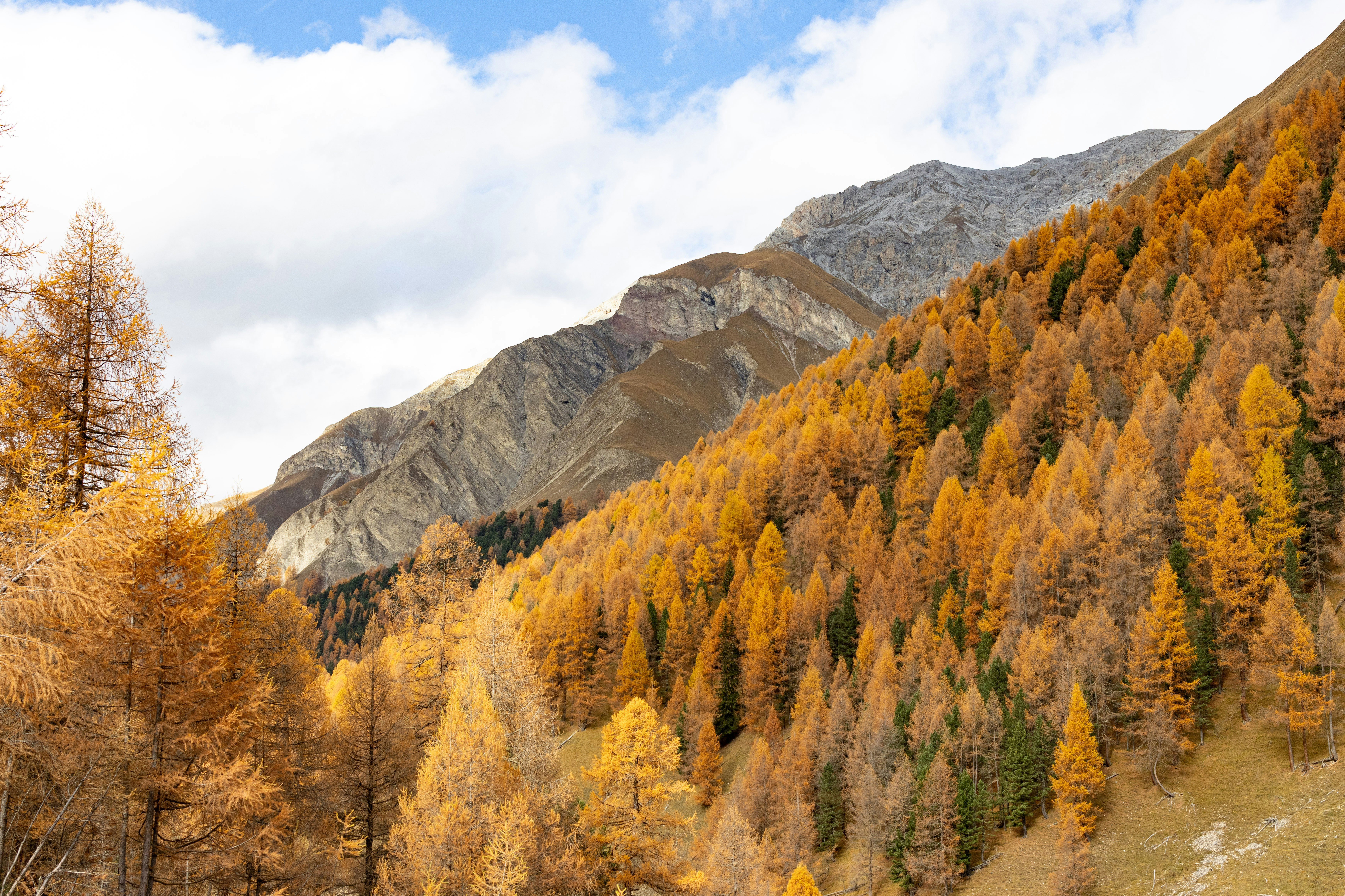 Photo by rafaelpeier