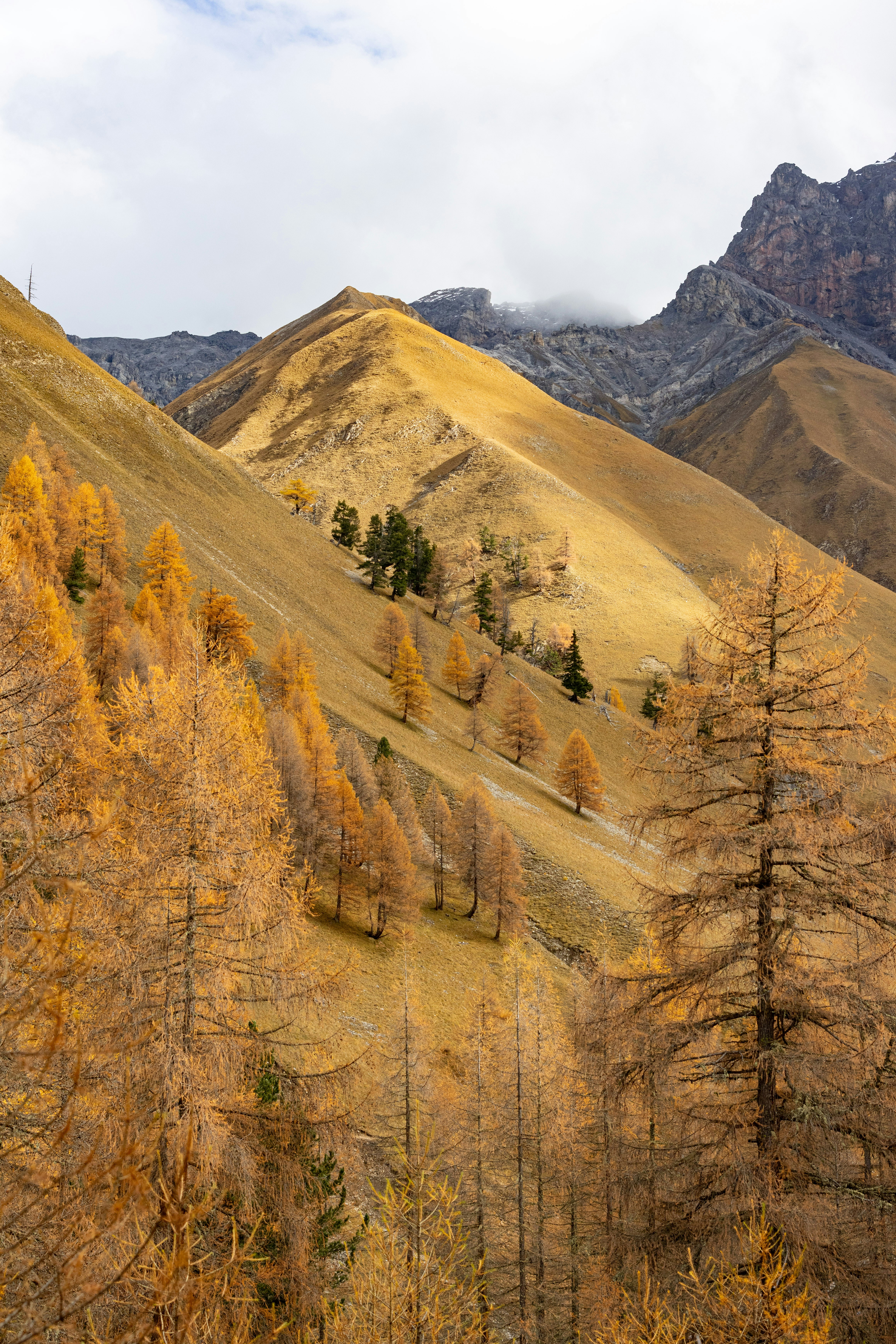 Photo by rafaelpeier