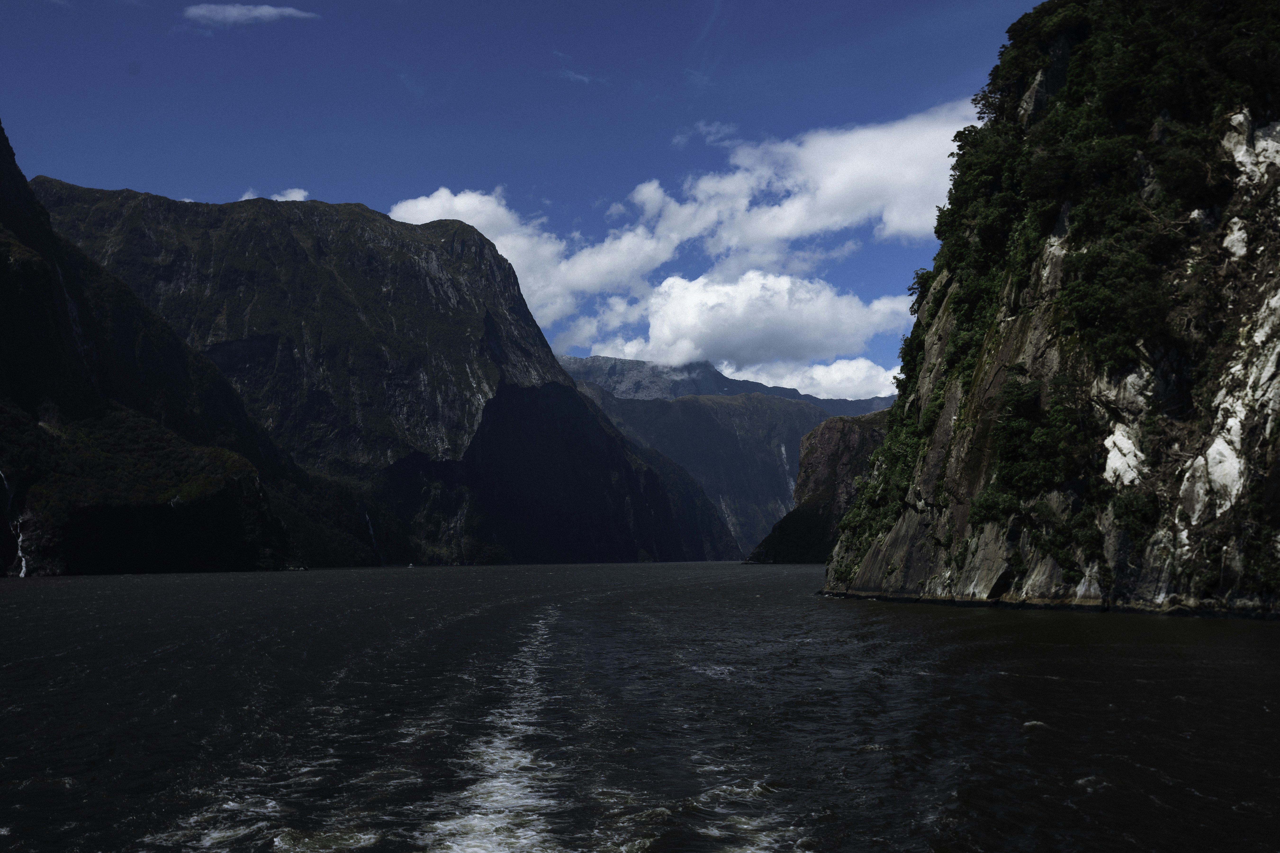 Photo by behindthetmuna