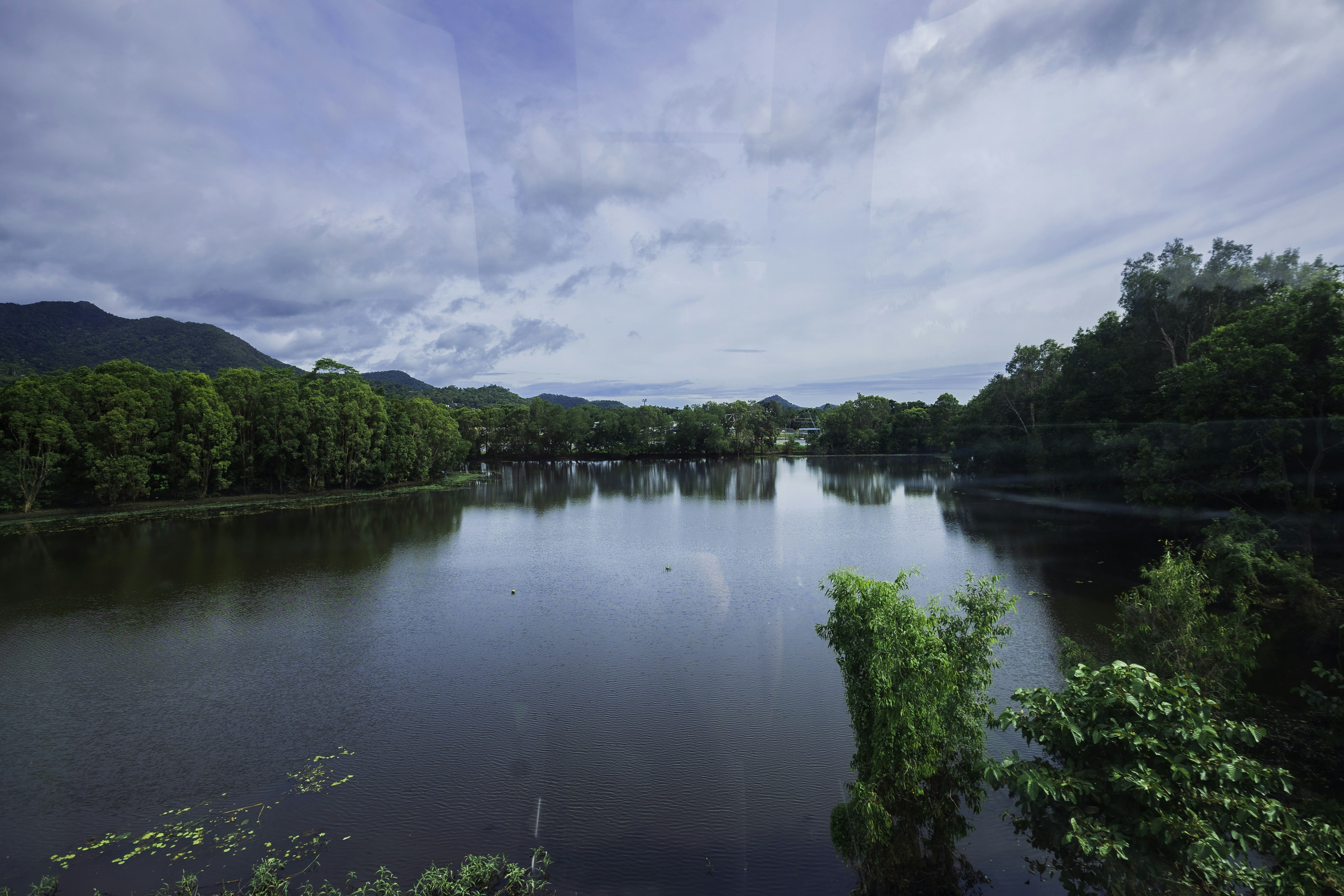 Photo by behindthetmuna