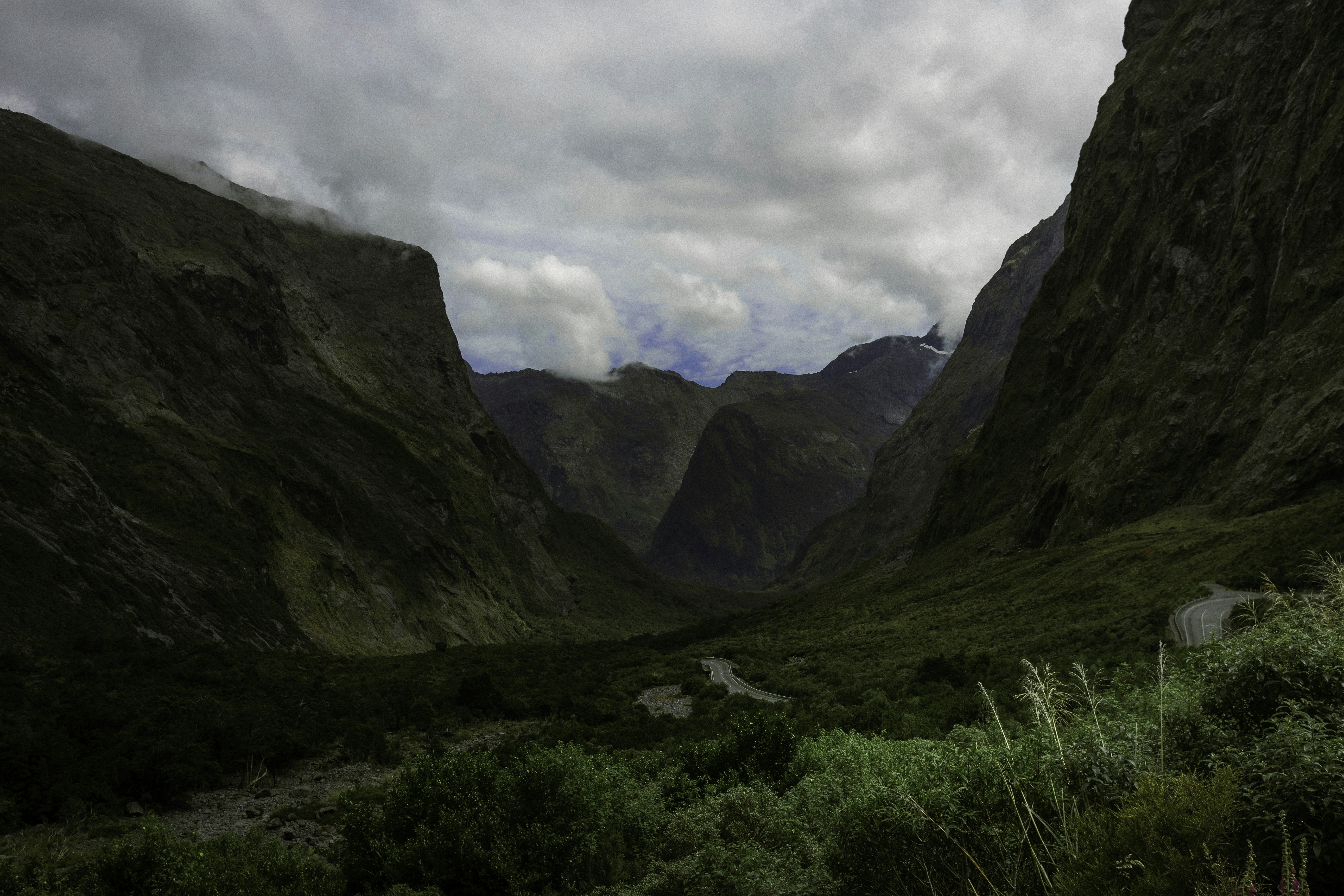 Photo by behindthetmuna