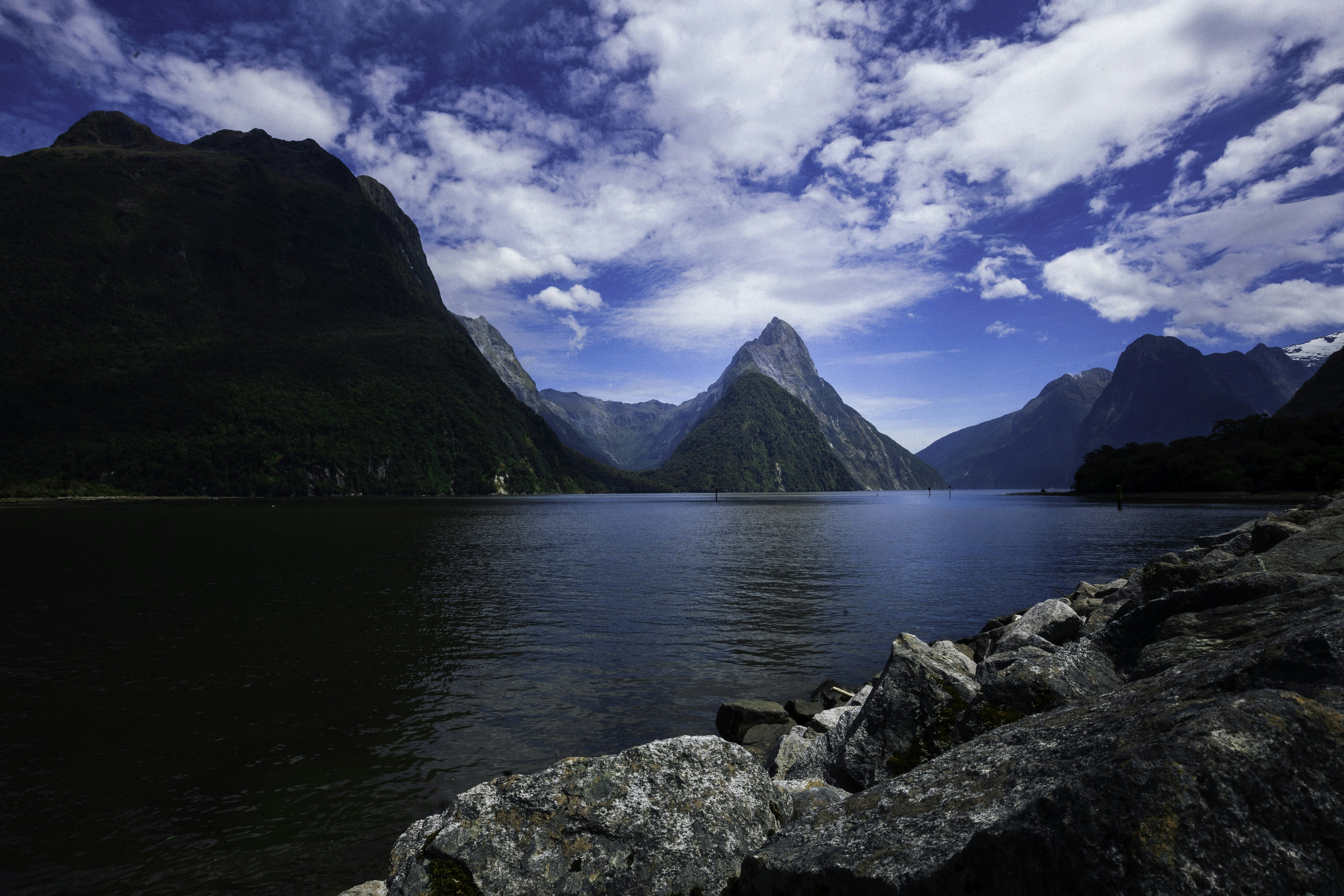 Photo by behindthetmuna