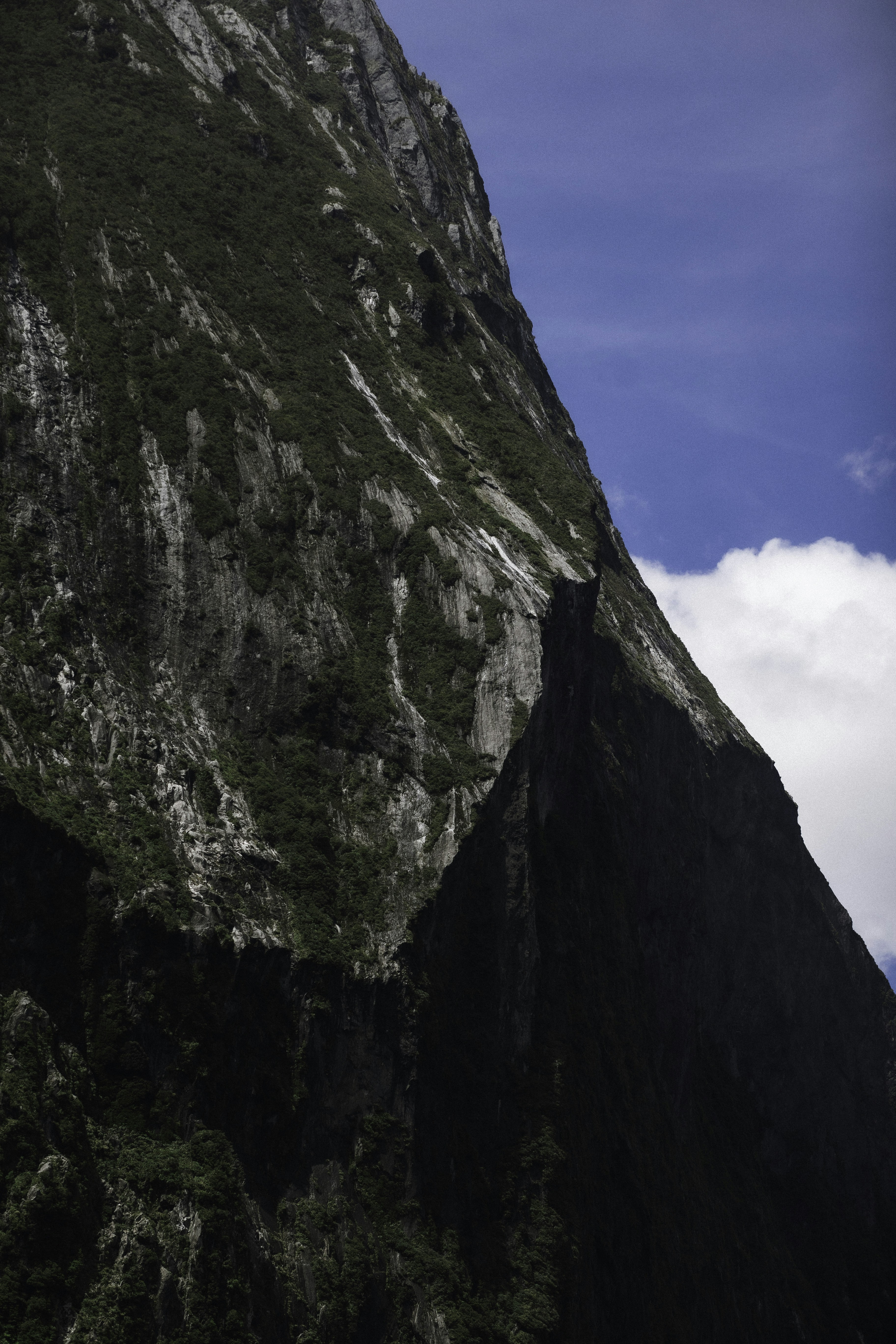 Photo by behindthetmuna