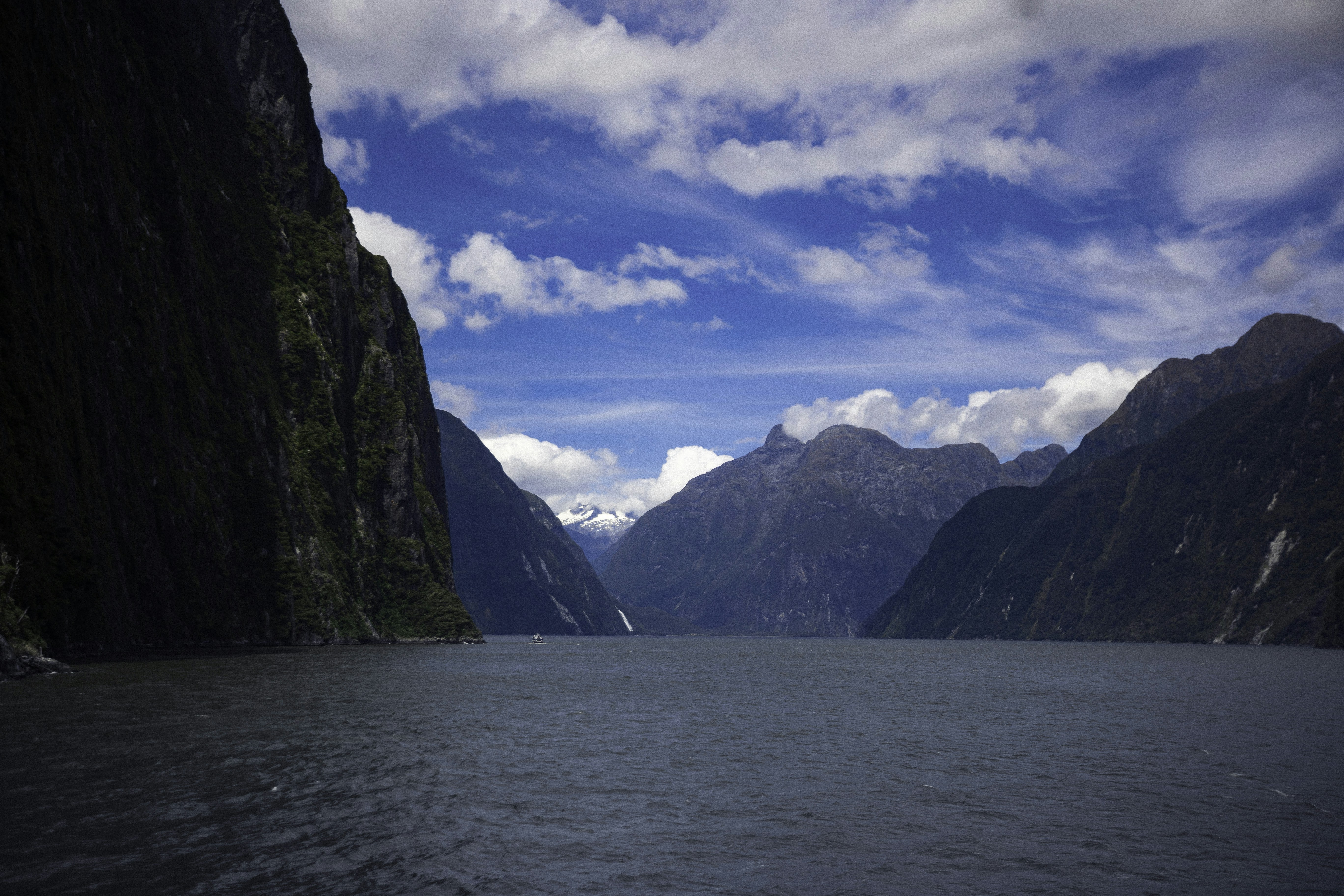 Photo by behindthetmuna