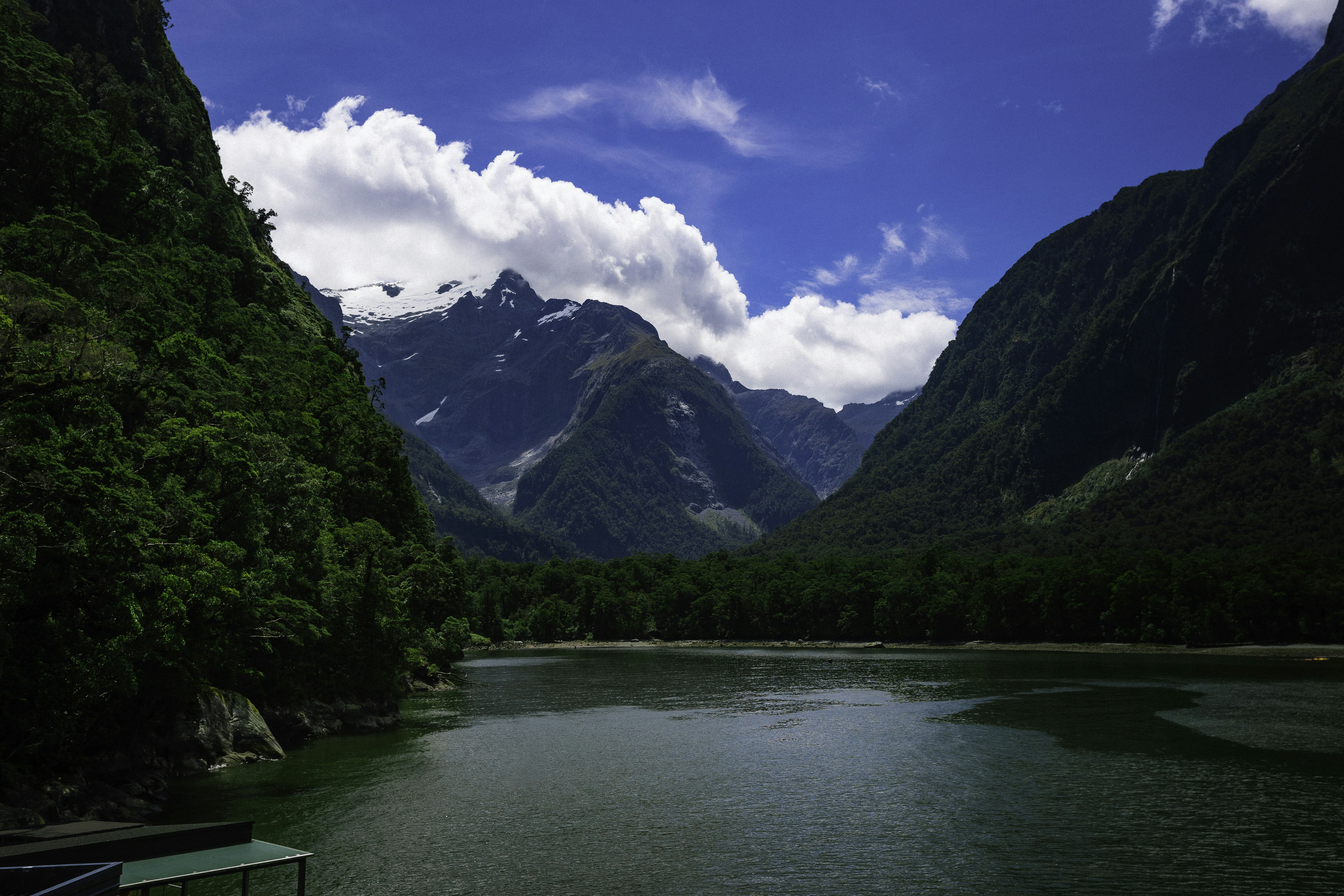 Photo by behindthetmuna