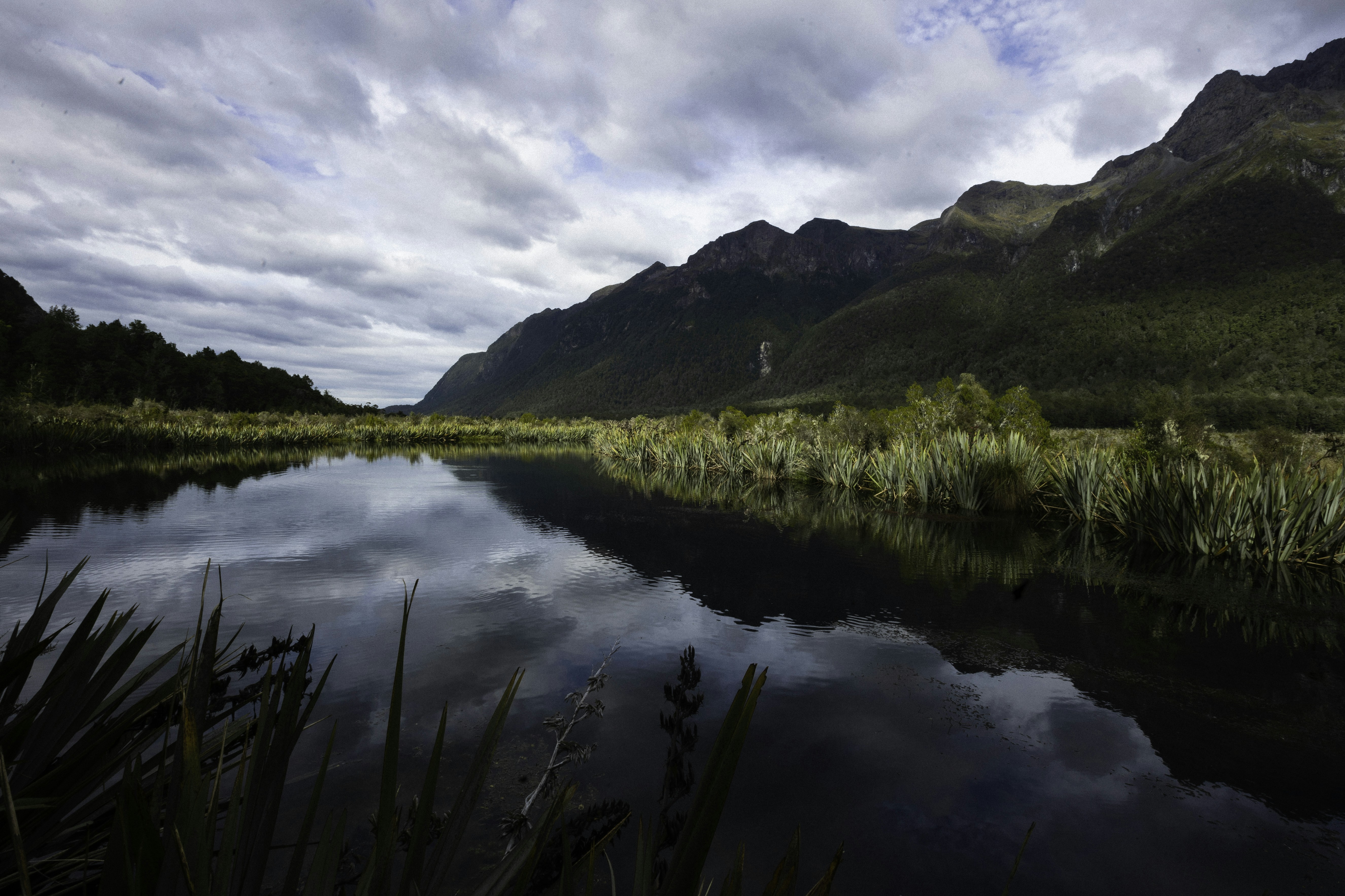 Photo by behindthetmuna