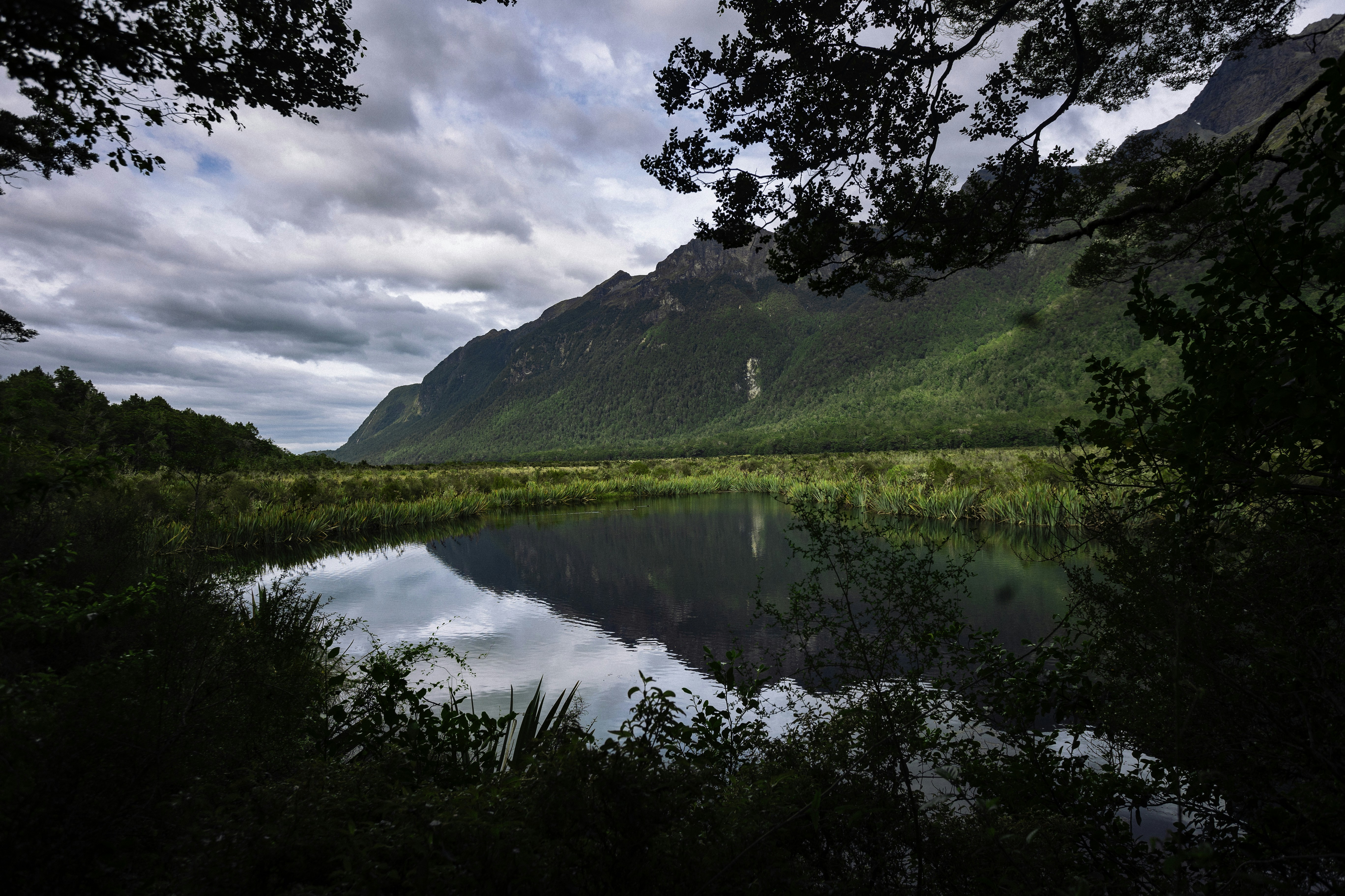 Photo by behindthetmuna