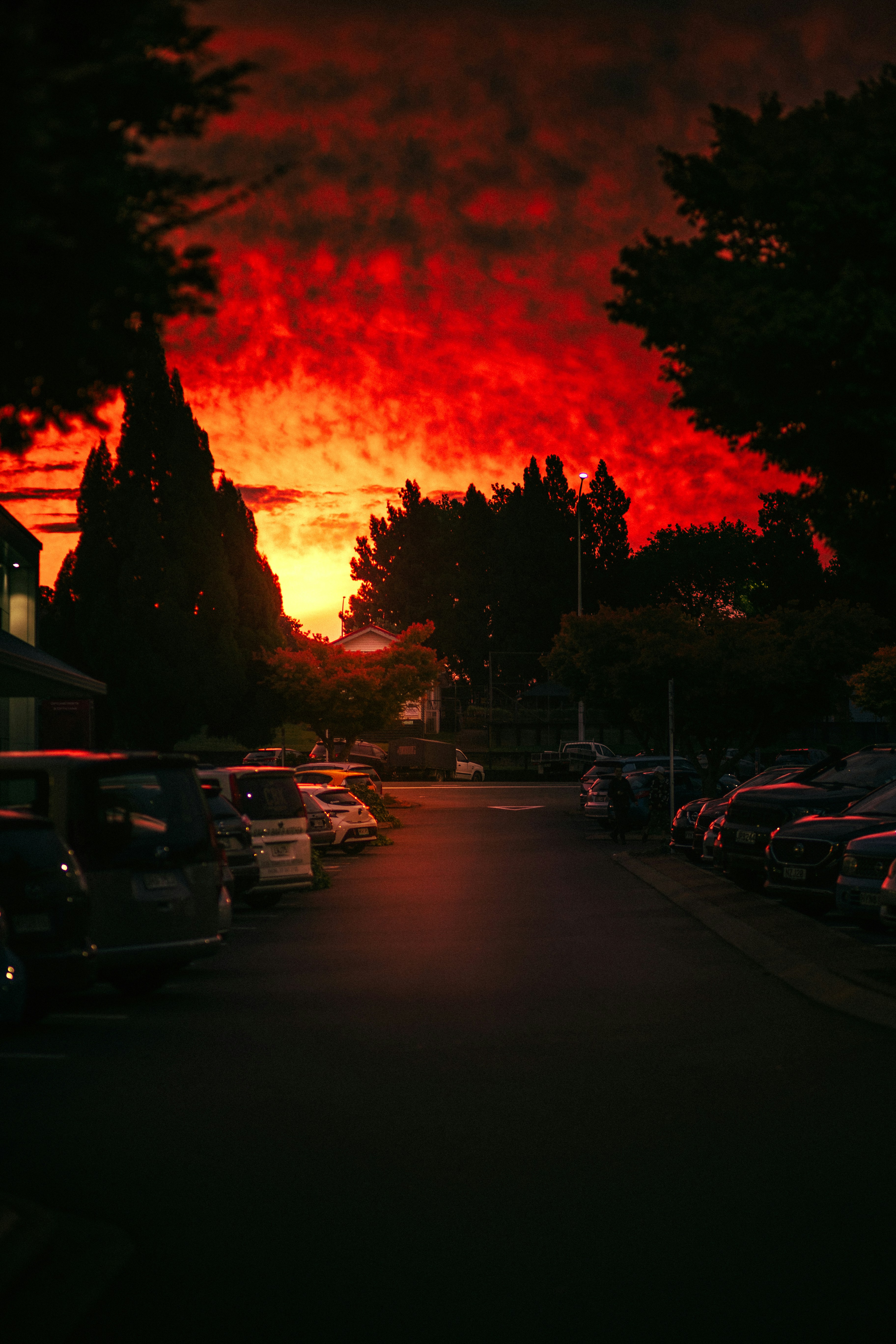 Photo by behindthetmuna