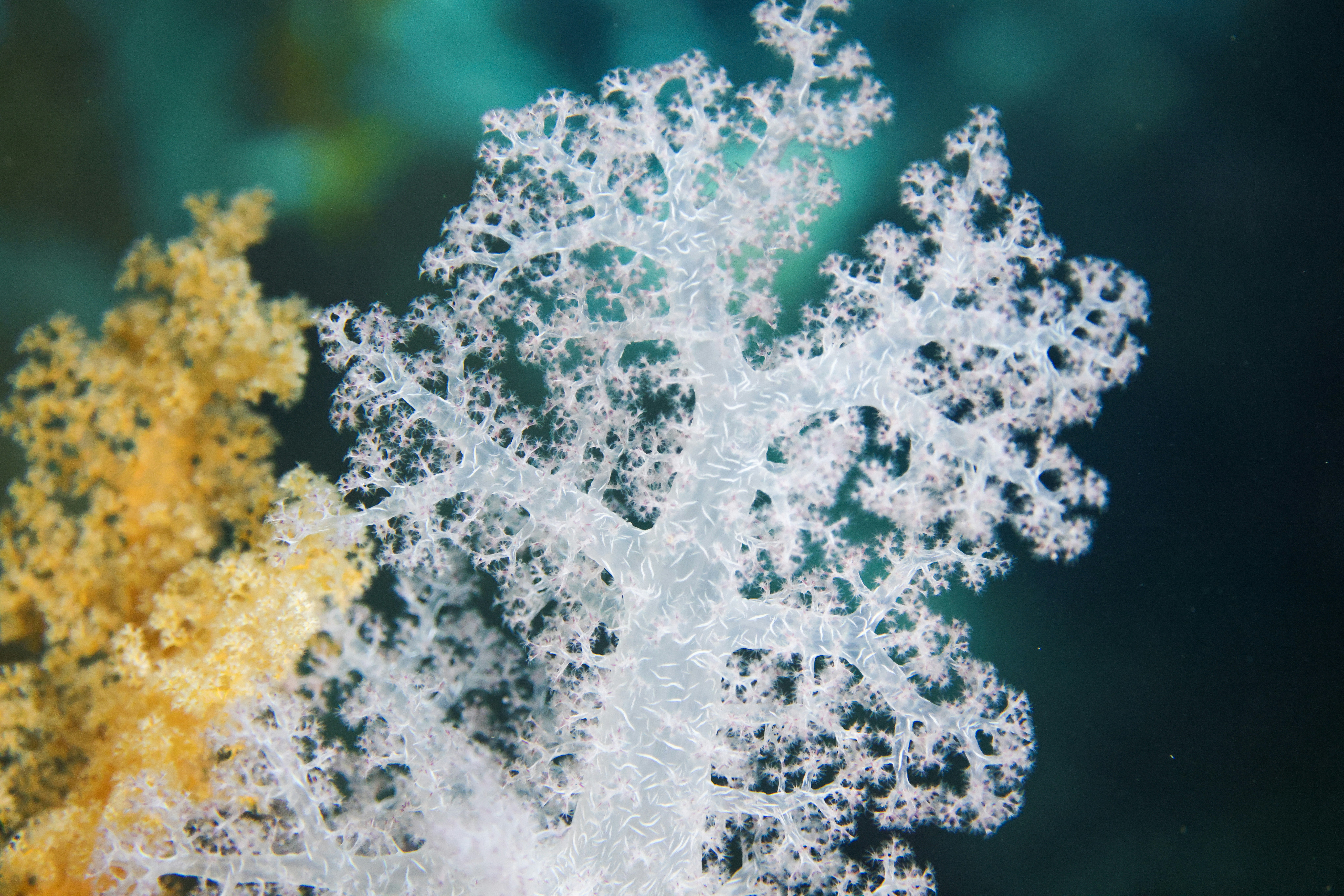 Photo by katja_zlotnikova