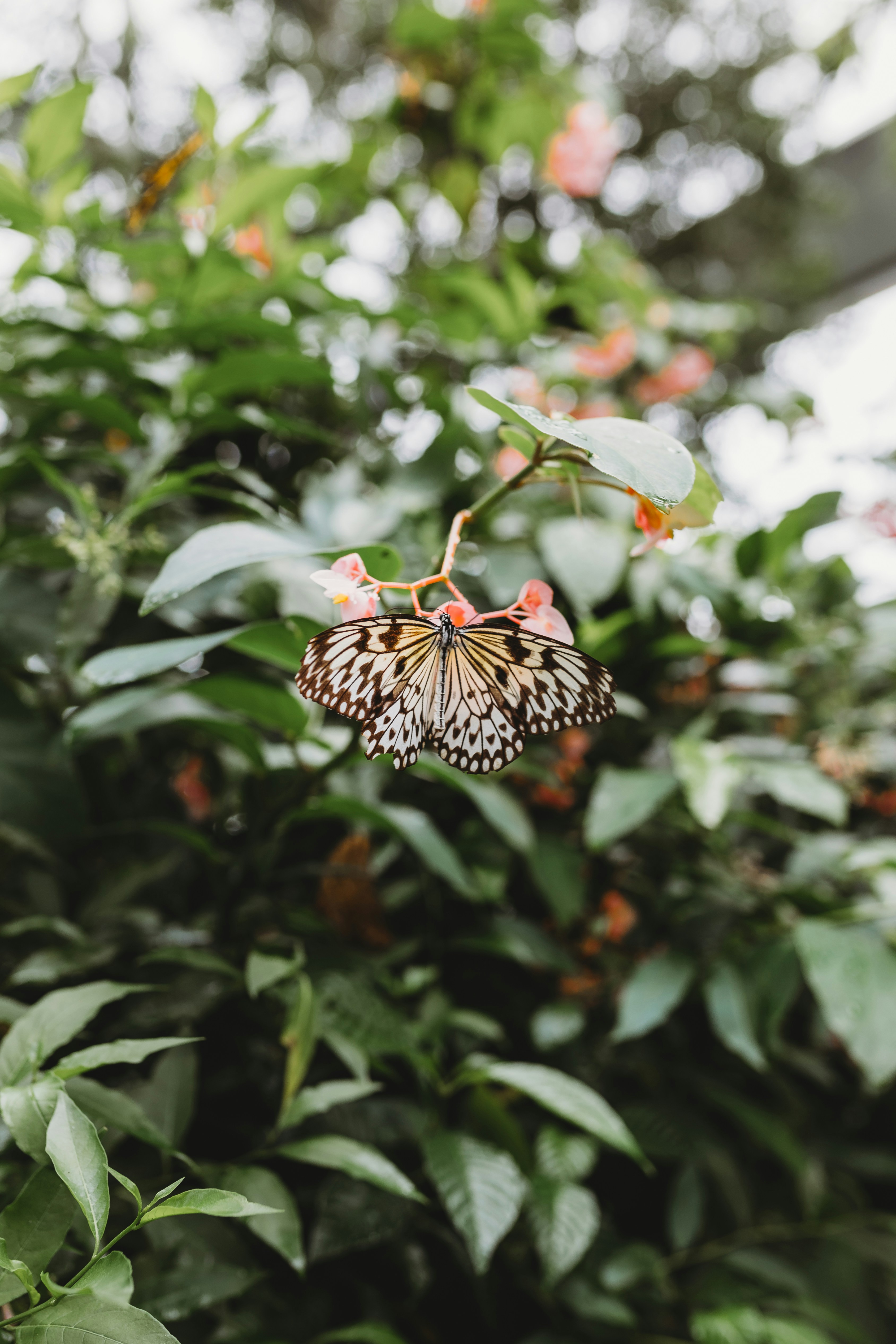 Photo by sallywilliams