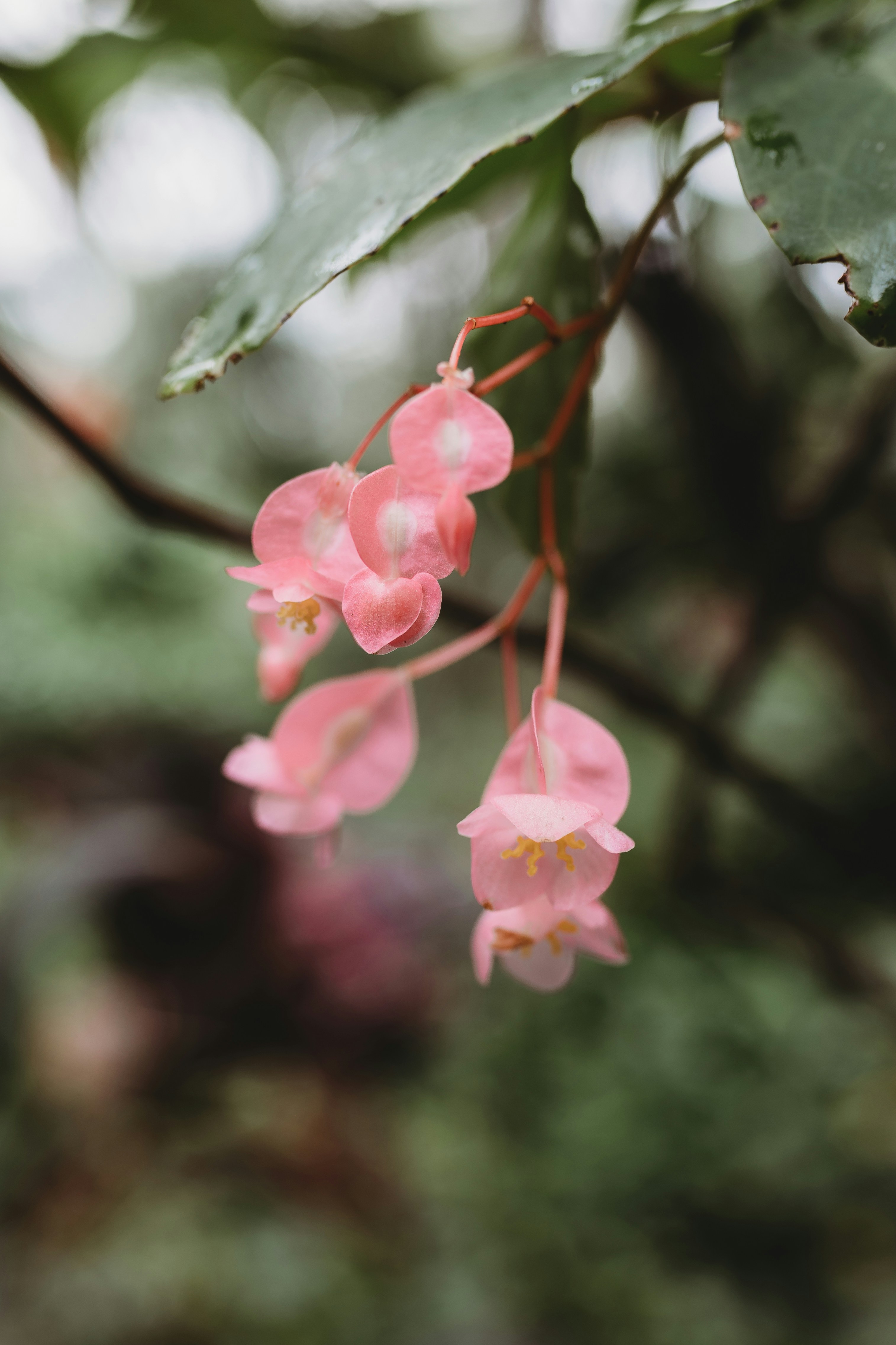 Photo by sallywilliams