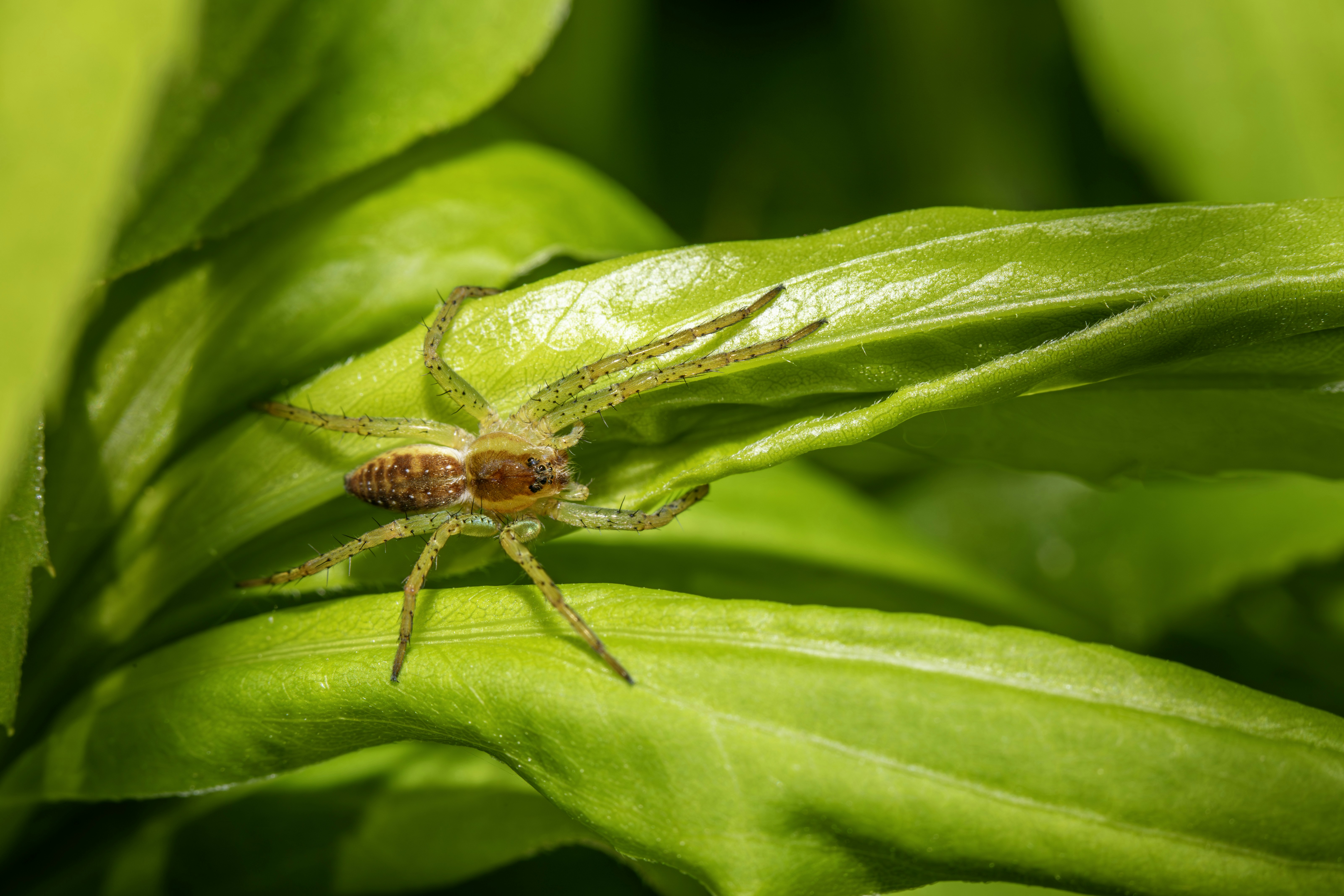 Photo by erik_karits