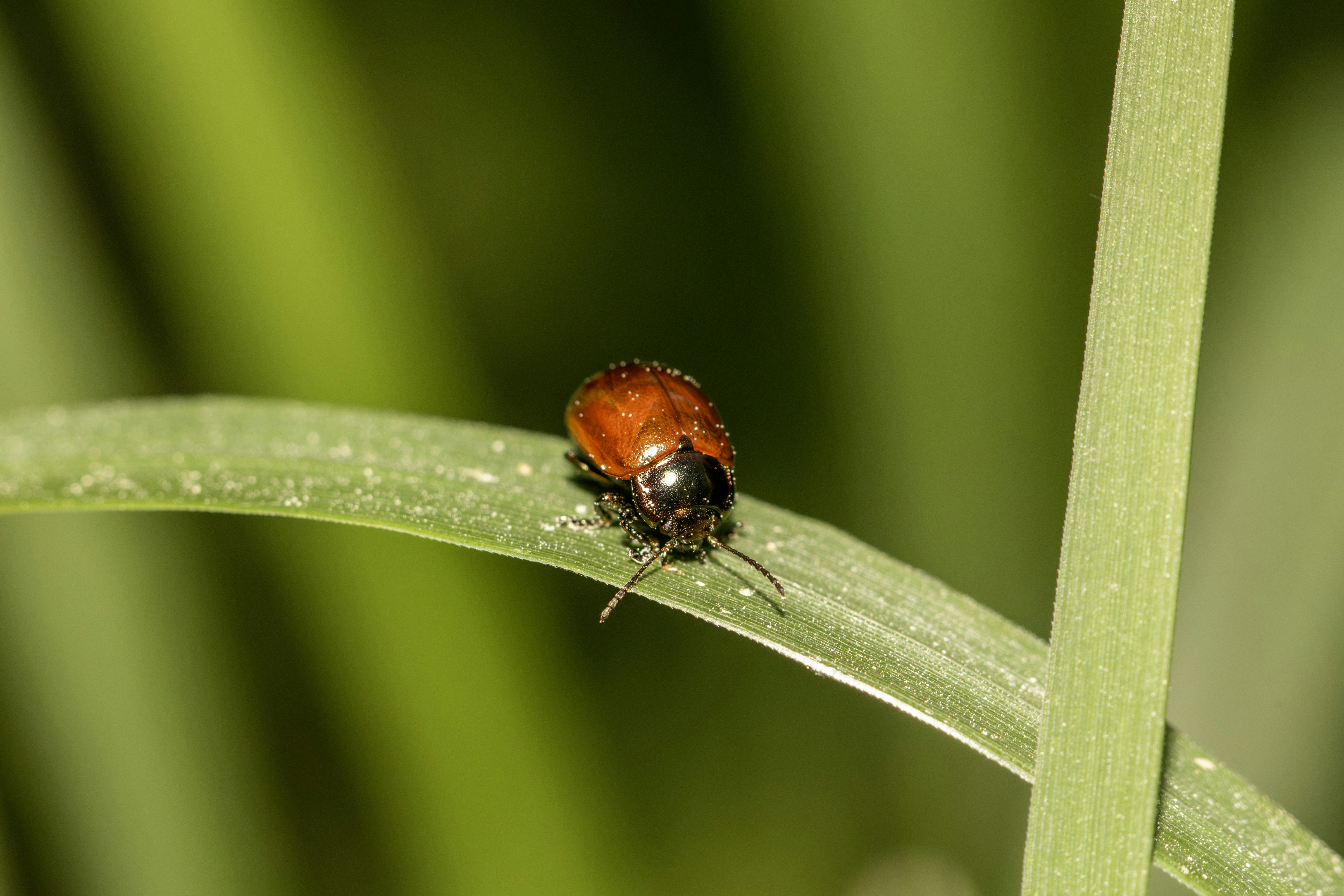 Photo by erik_karits