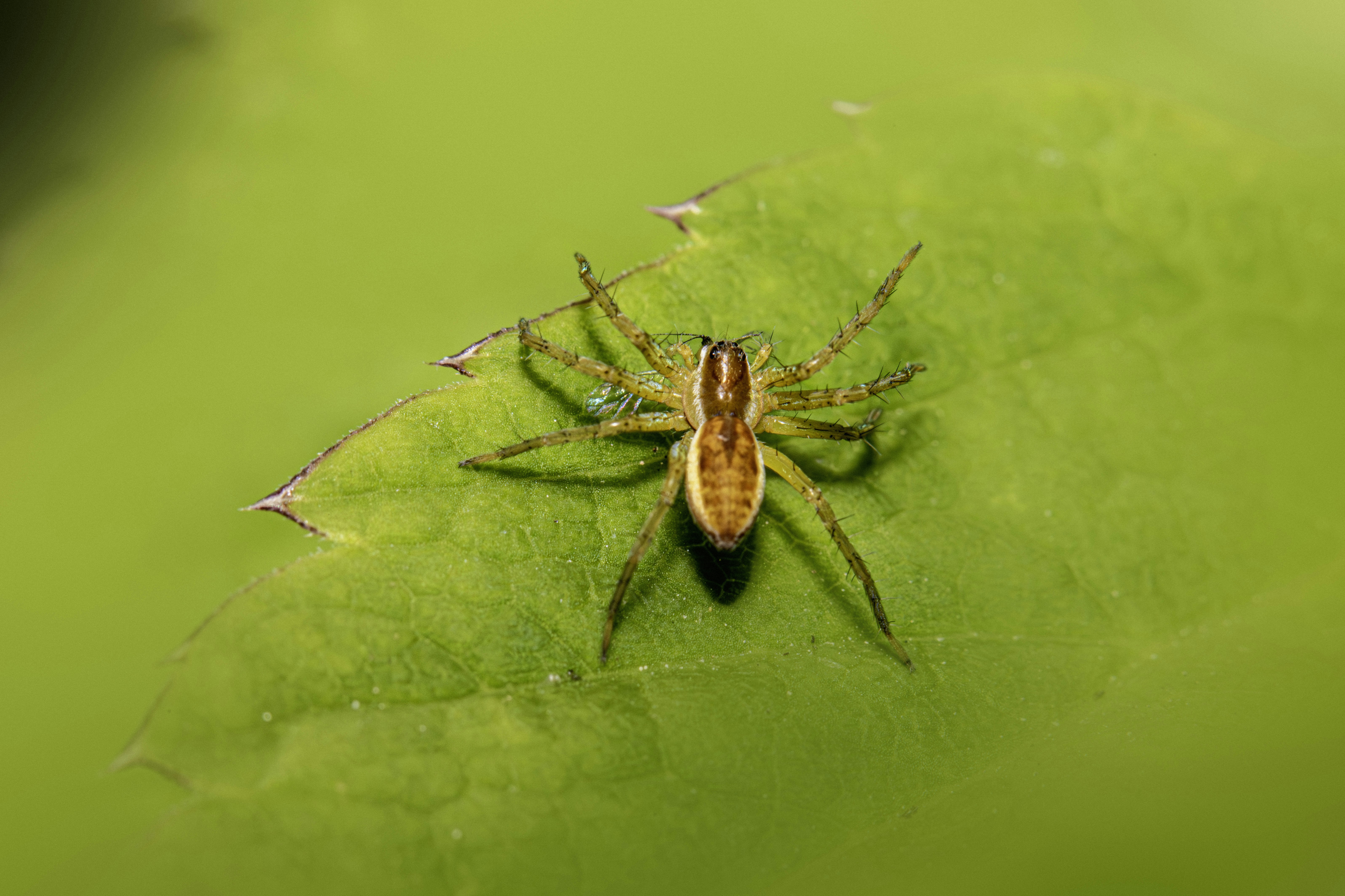 Photo by erik_karits