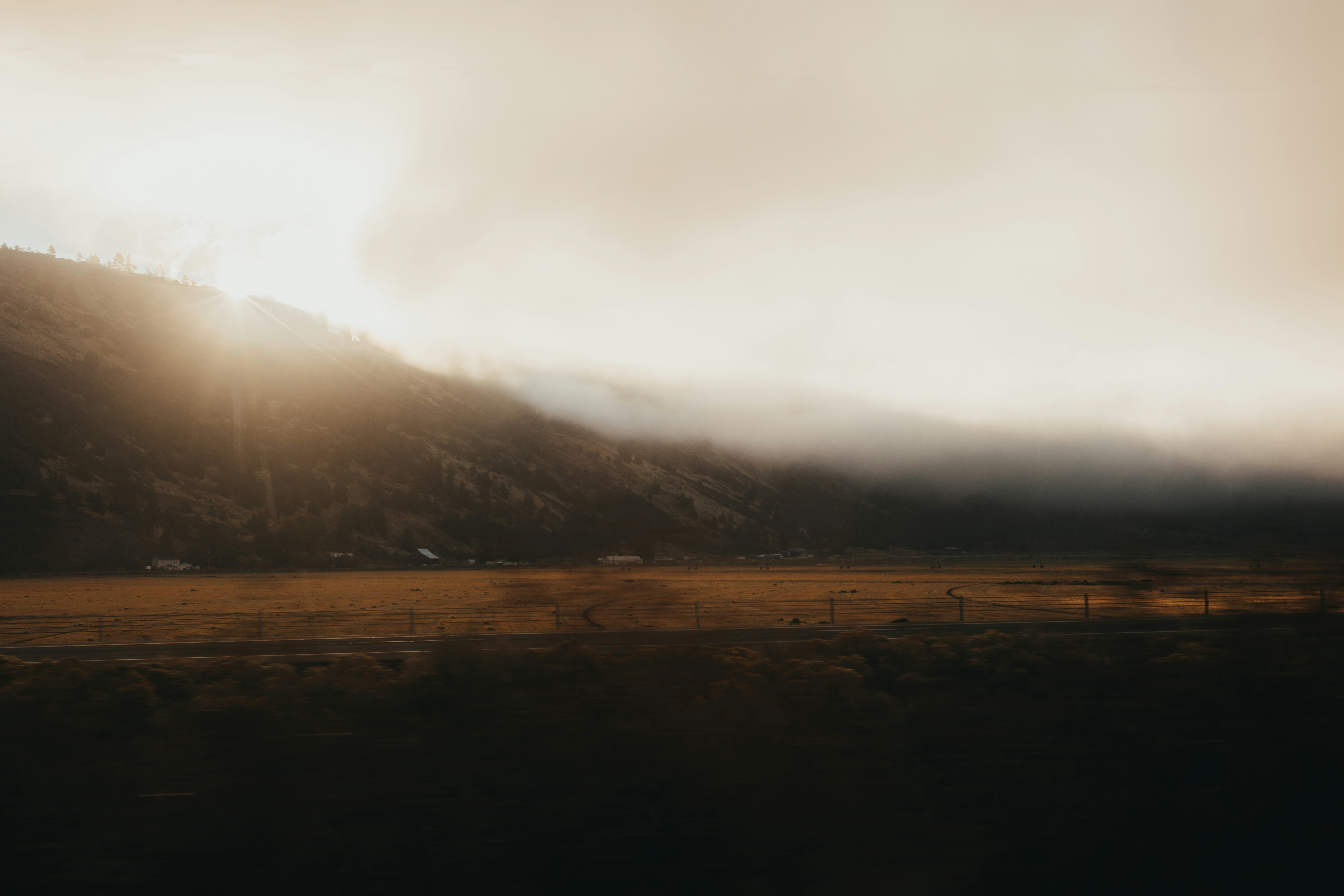 Photo by sallywilliams