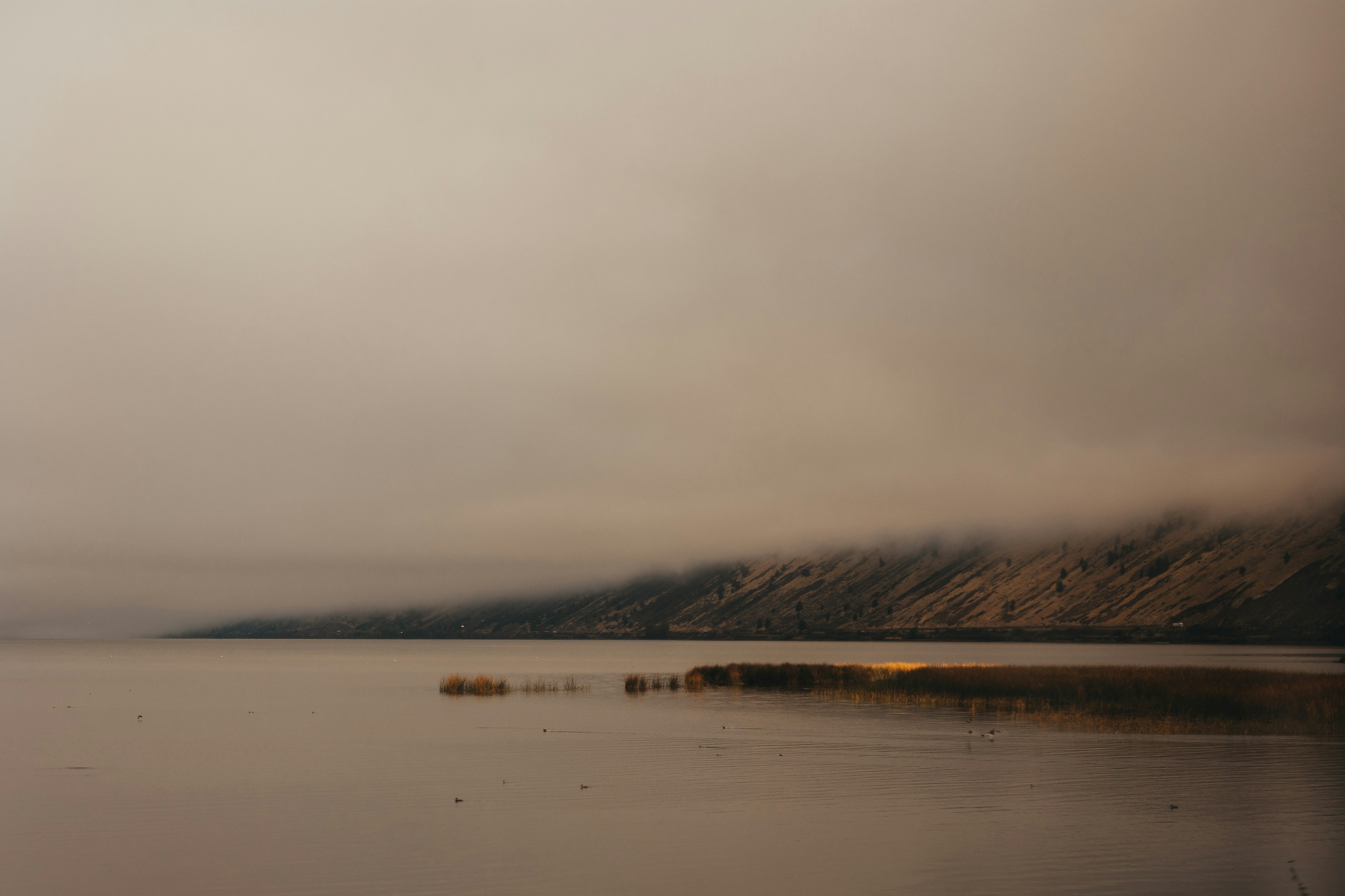 Photo by sallywilliams