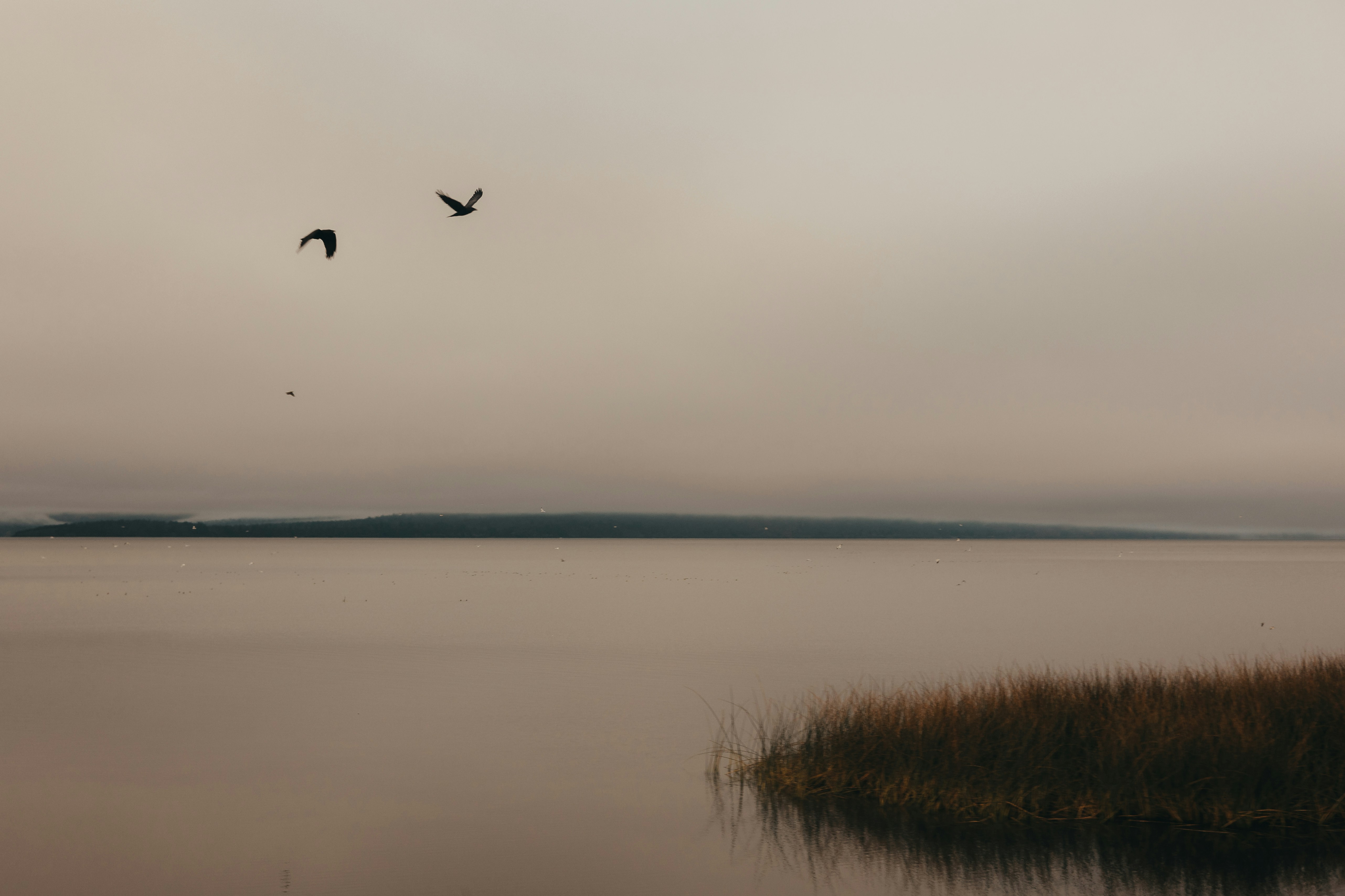 Photo by sallywilliams