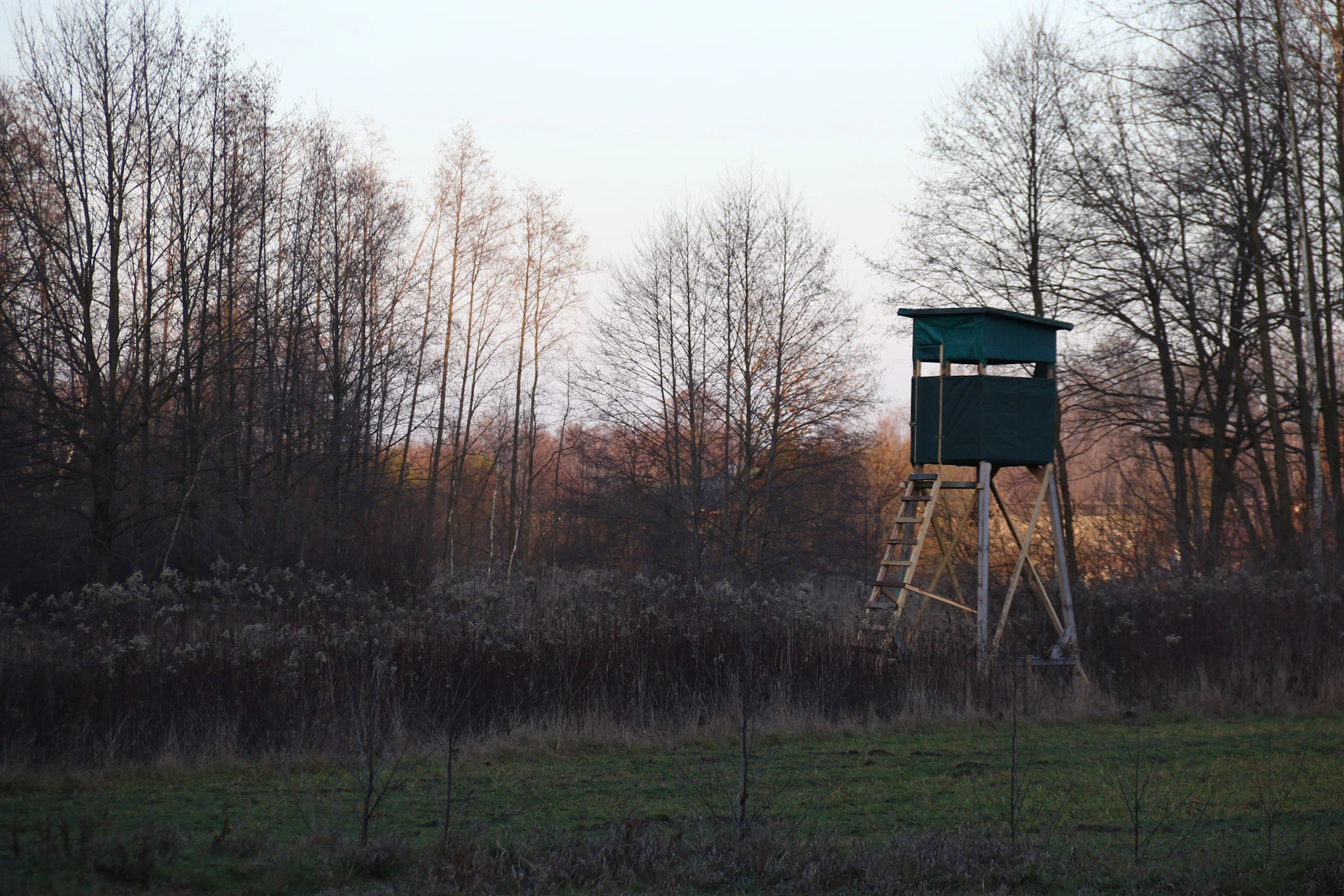 A bird house in a field with trees in the background