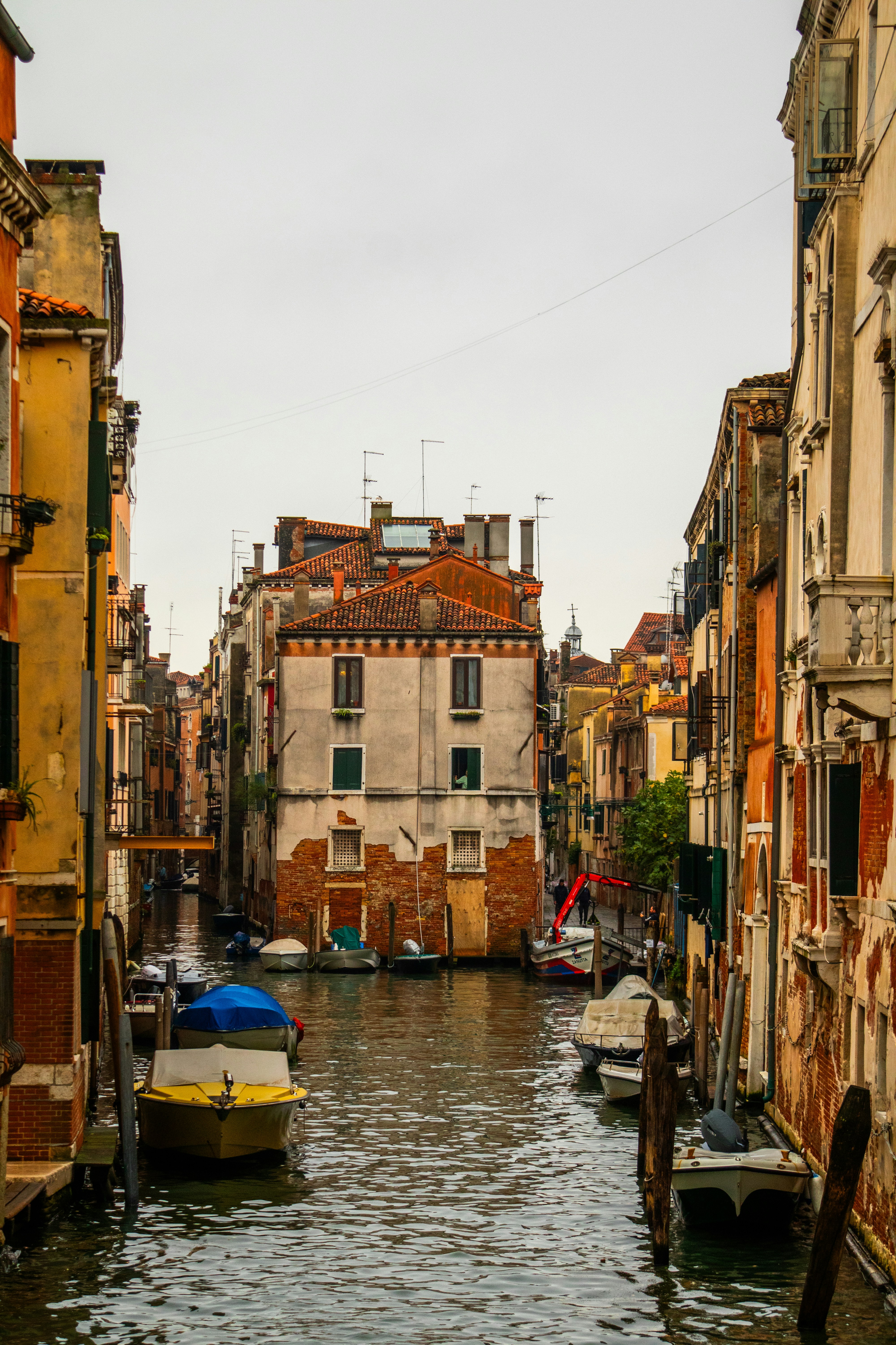 Photo by woomantsing