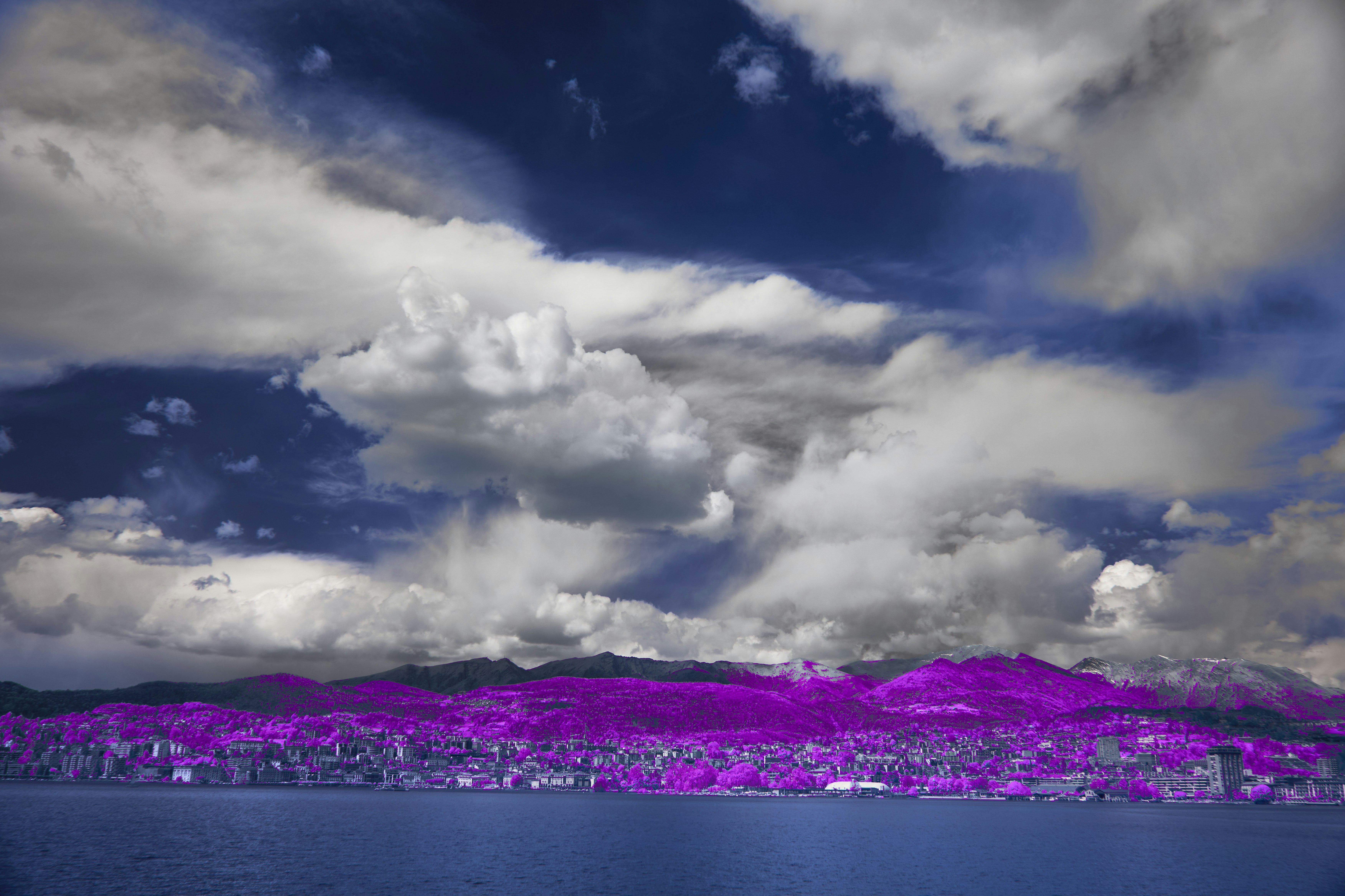 Photo by wolfgang_hasselmann