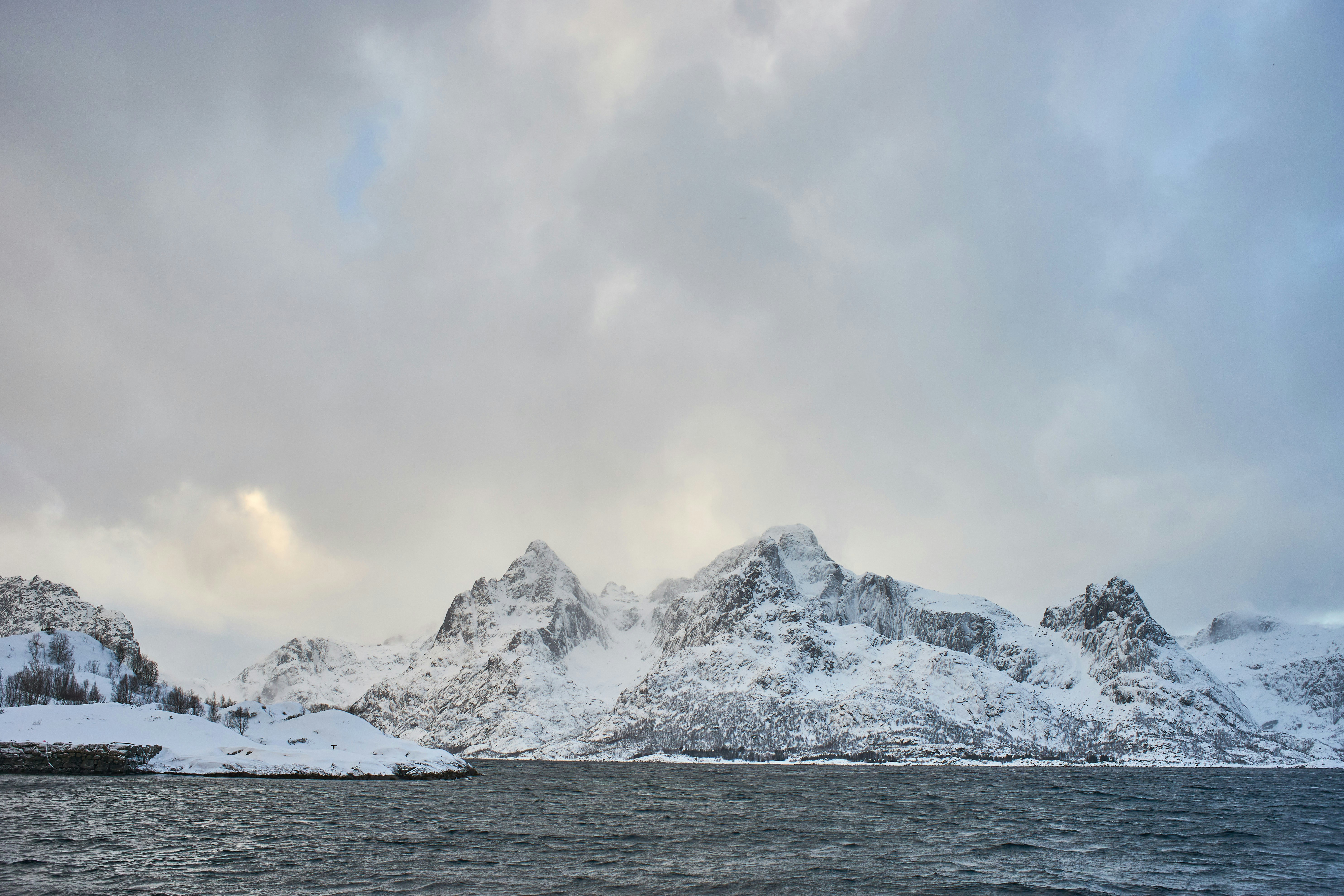 Photo by wolfgang_hasselmann