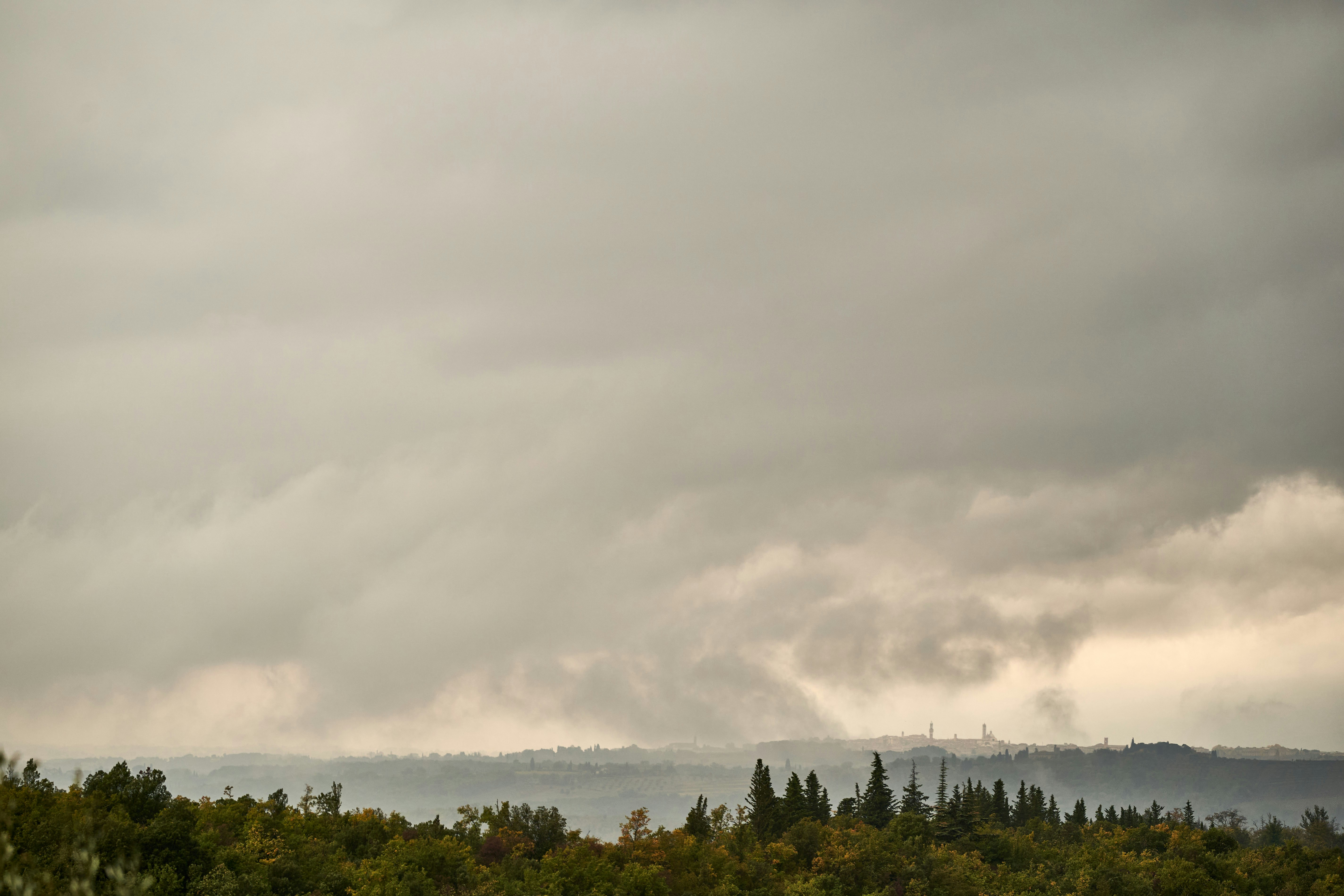 Photo by wolfgang_hasselmann