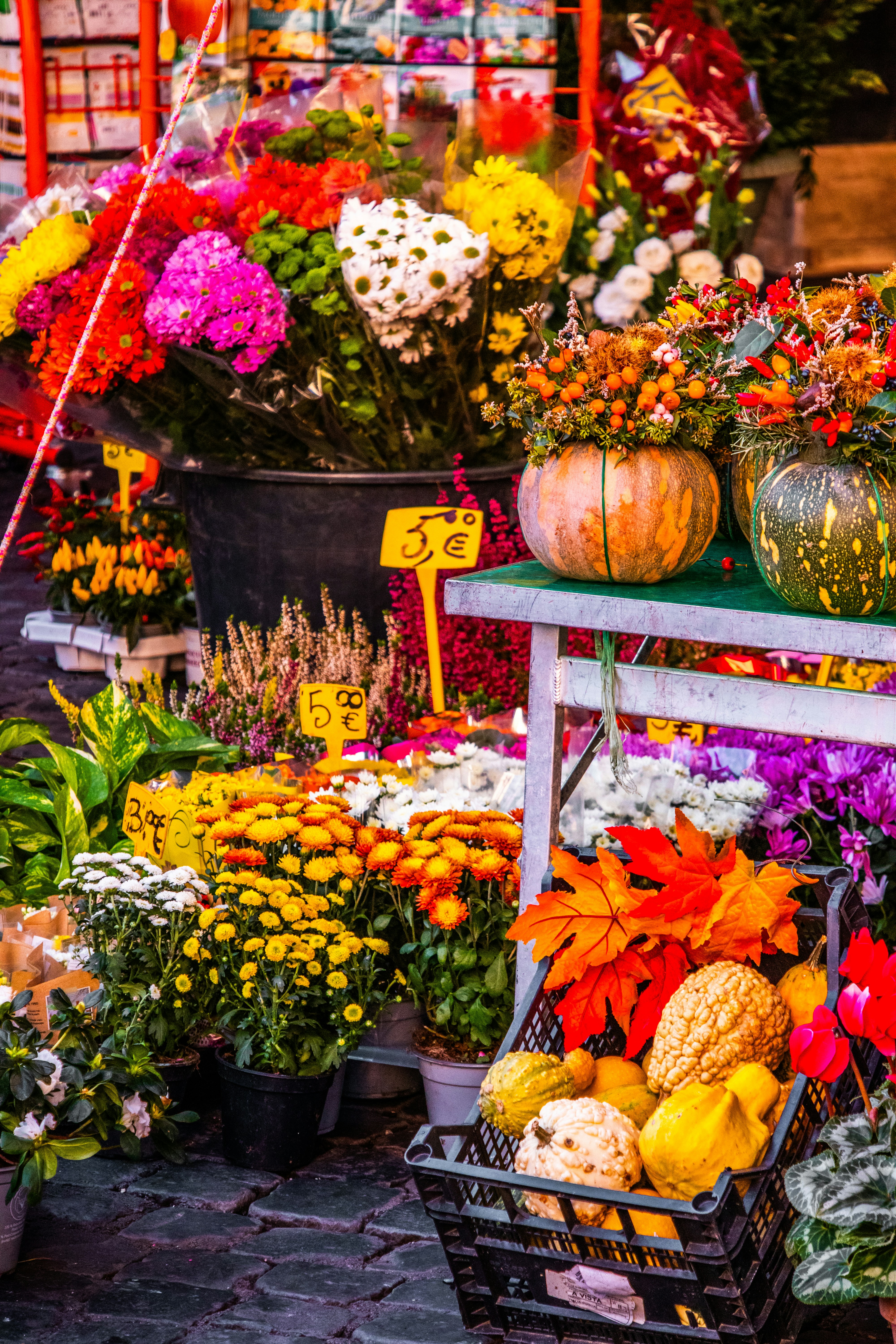 Photo by woomantsing