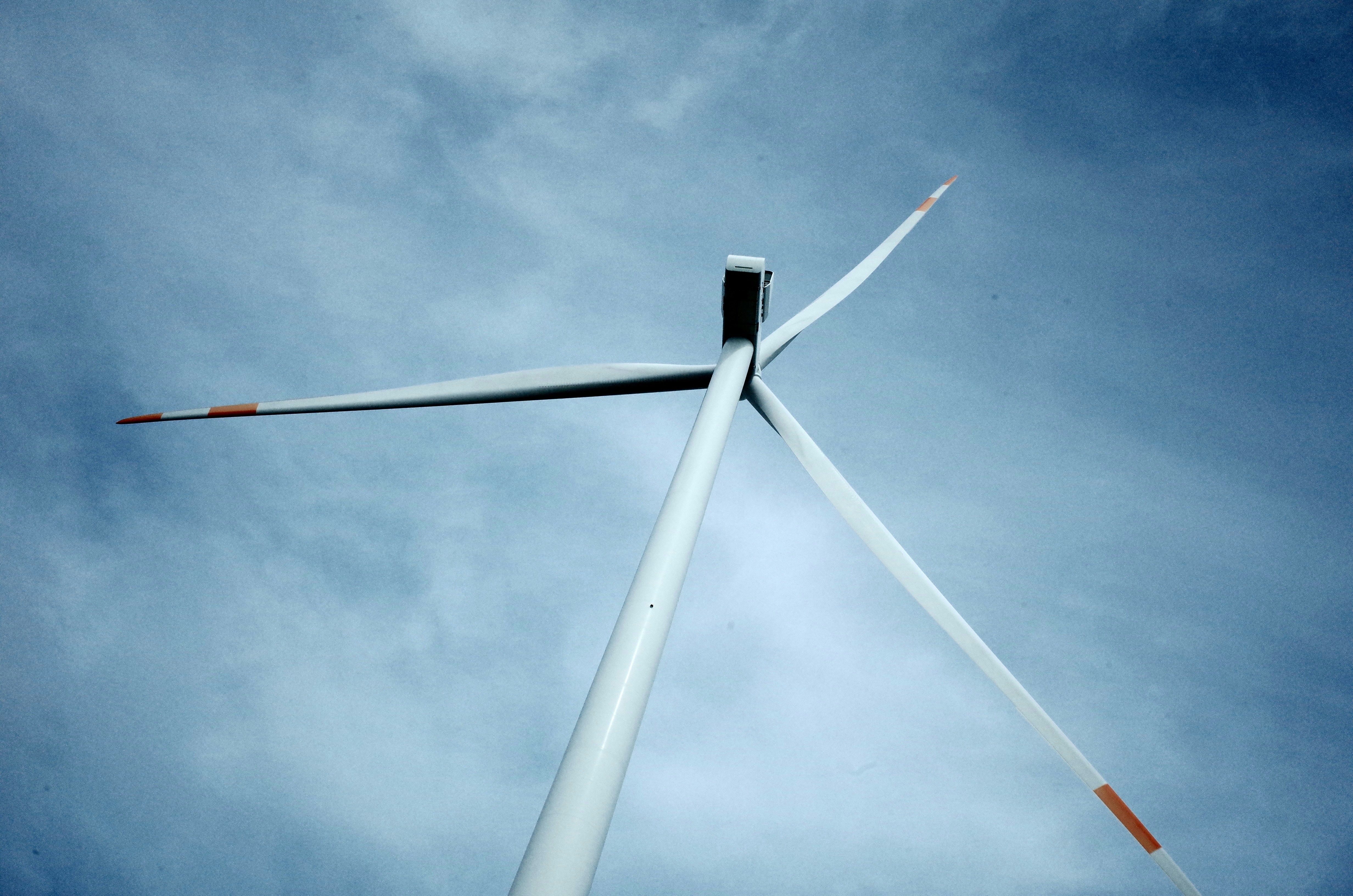 US Offshore Wind Ambitions Dashed as Industry Sues Over Project Freeze