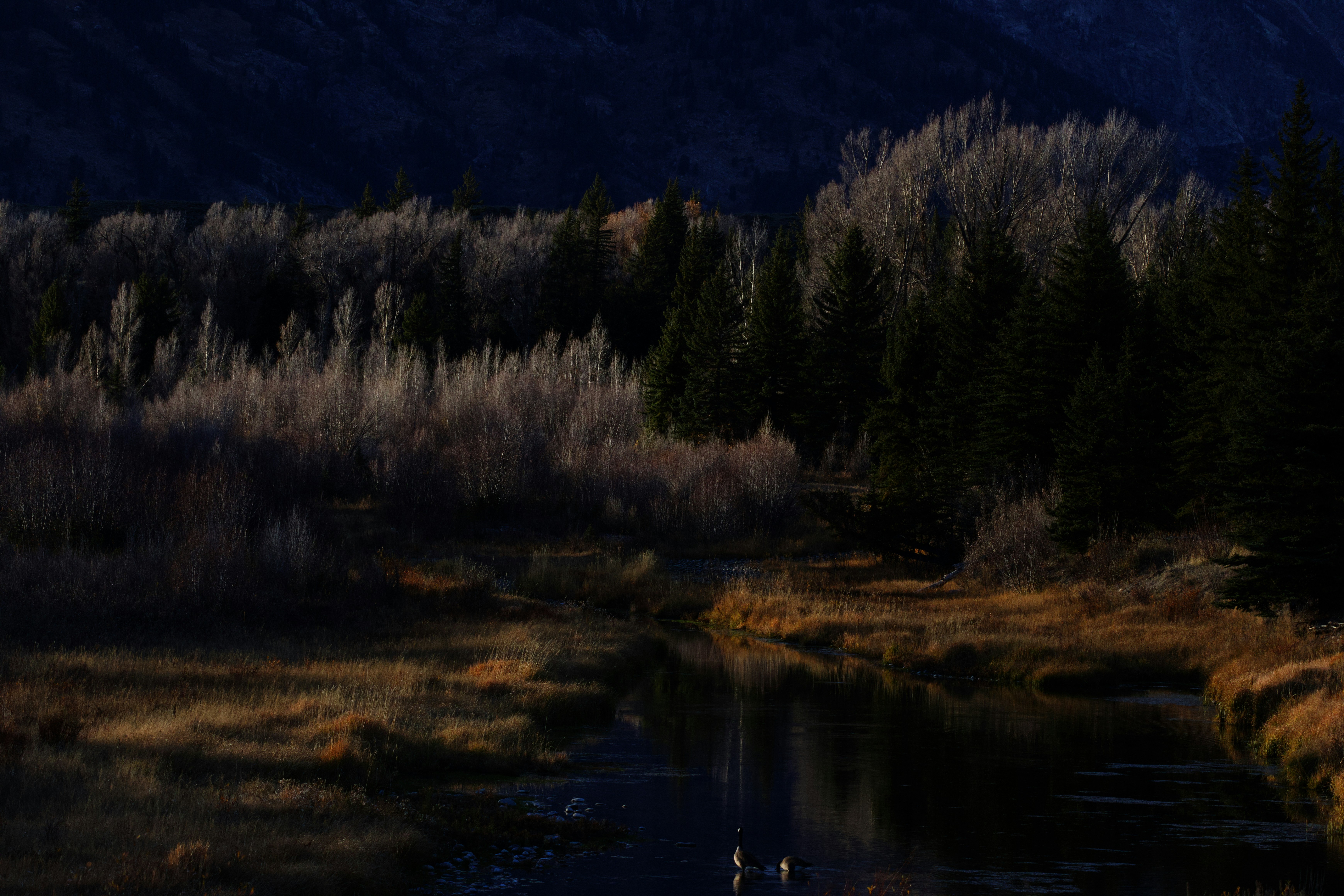 Photo by abhi_dasari