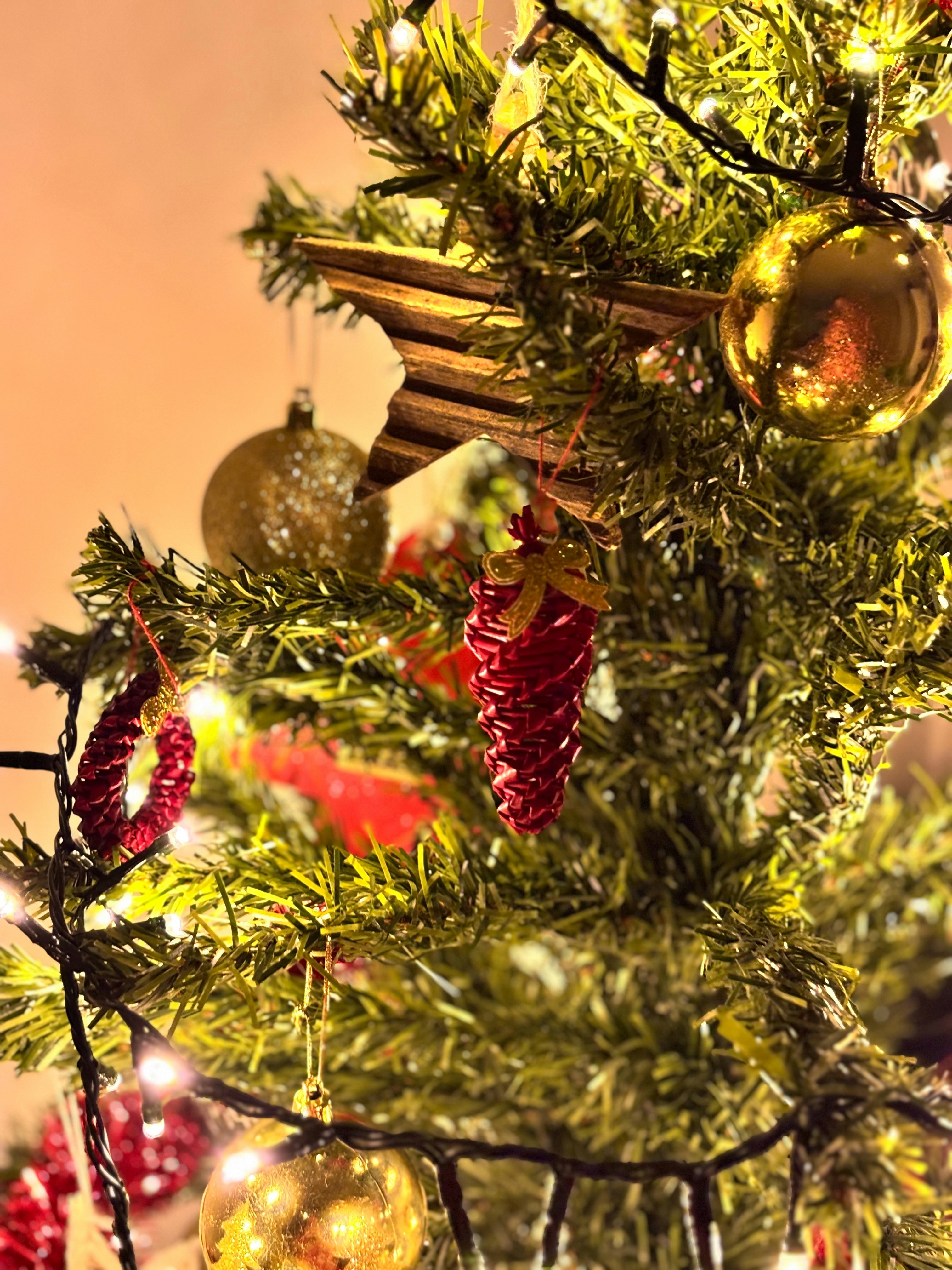 Photo by ursulele123