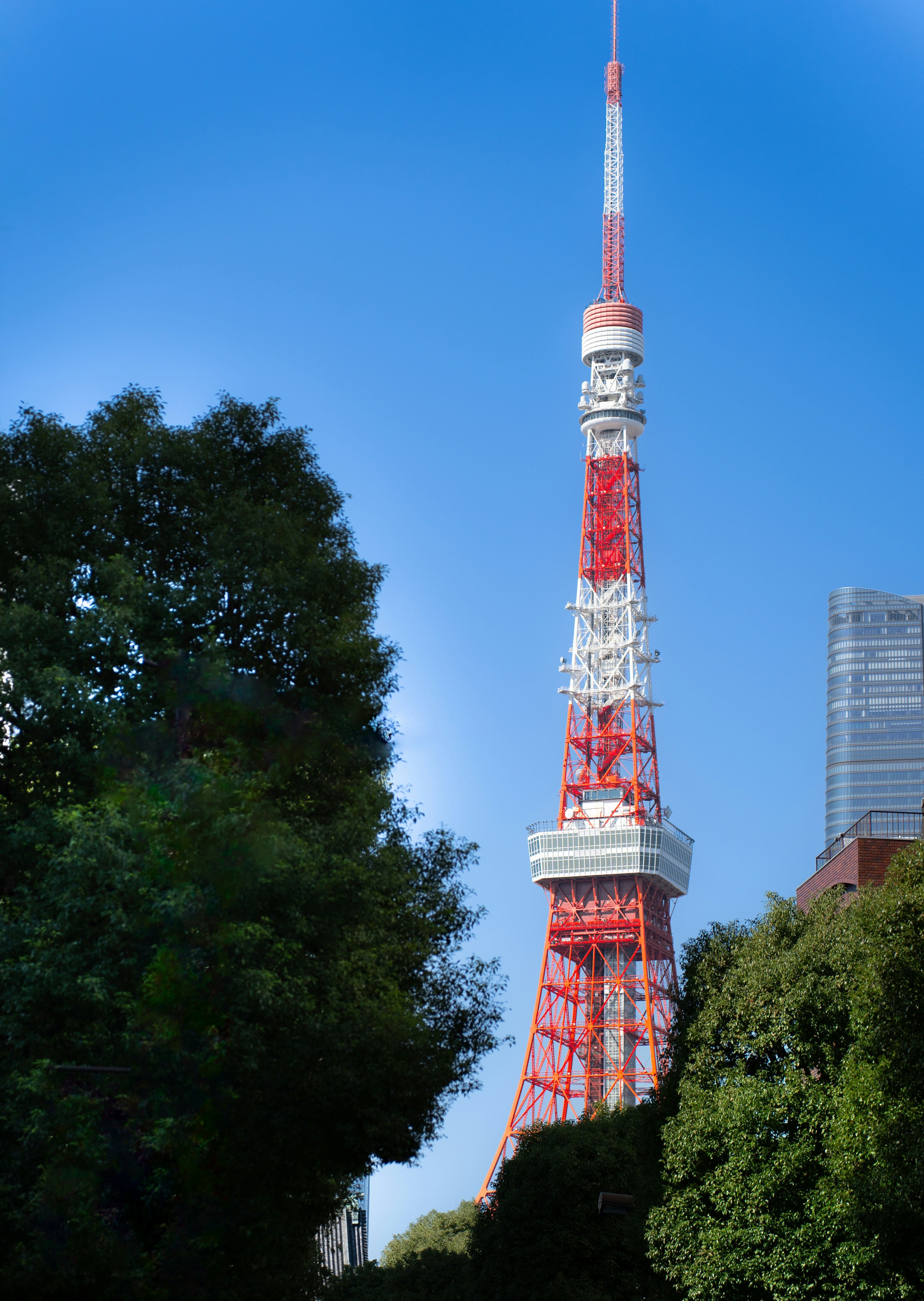 Photo by jivangarcha