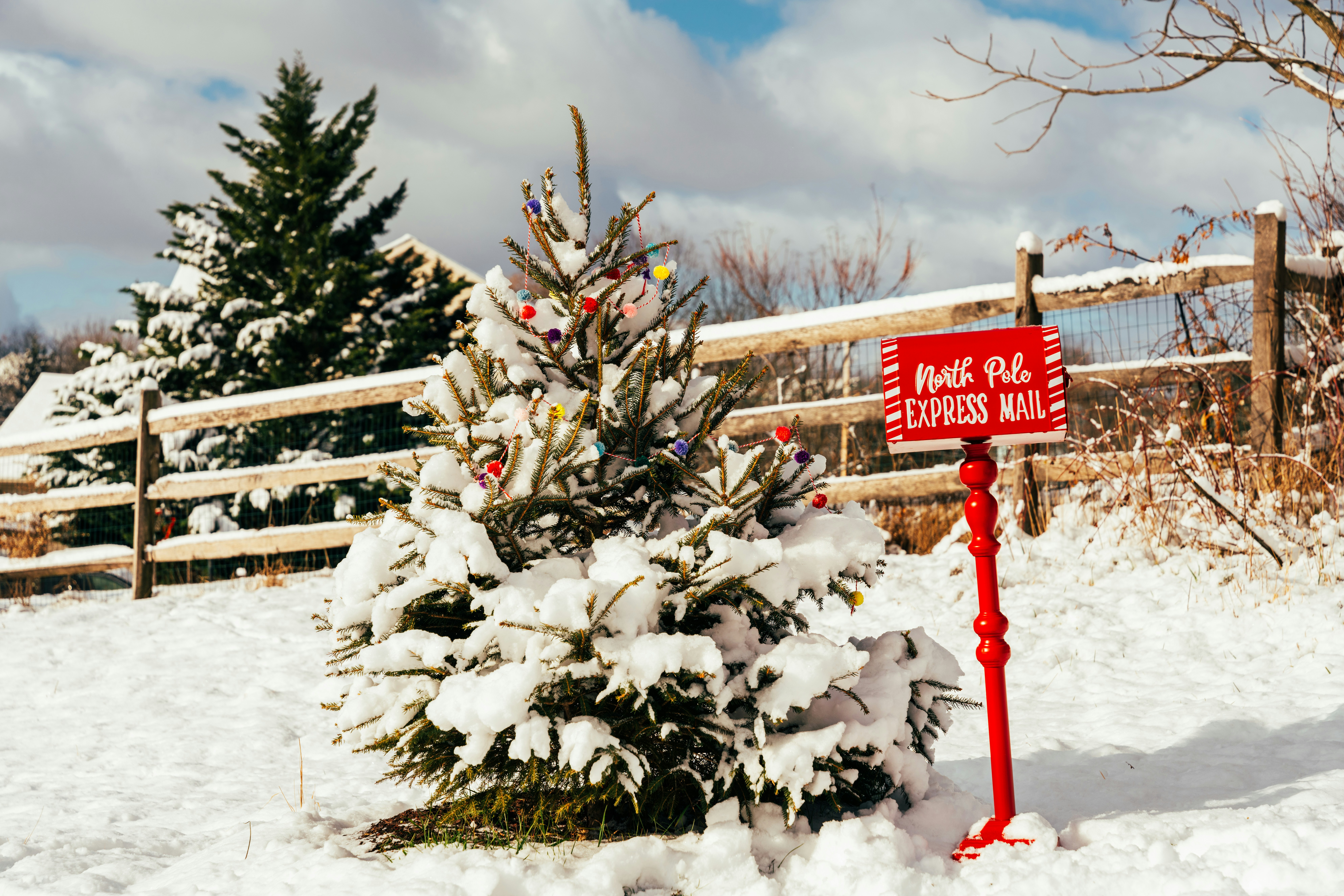 Image by Nellie Adamyan via Unsplash