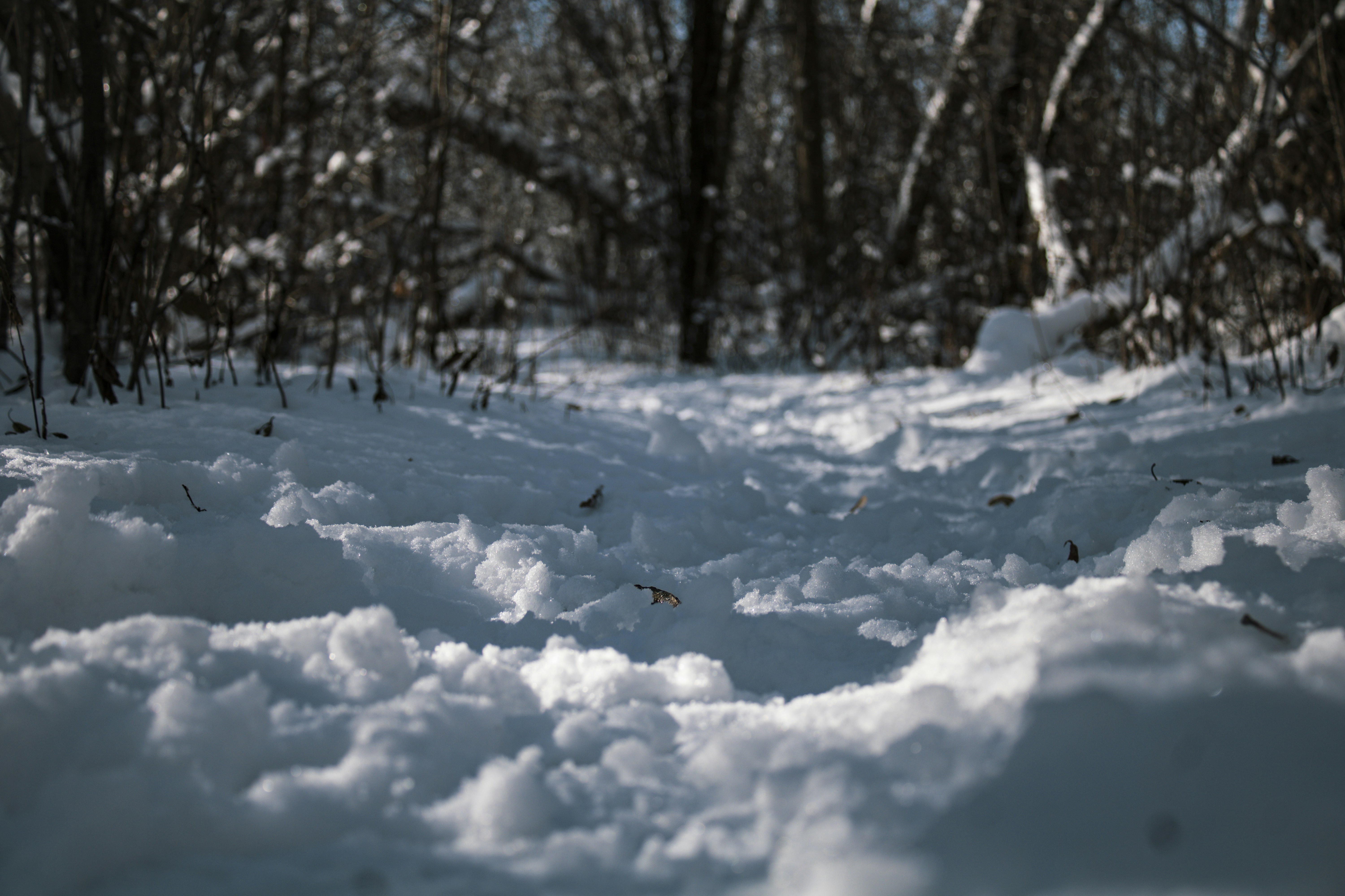 Photo by one23four56