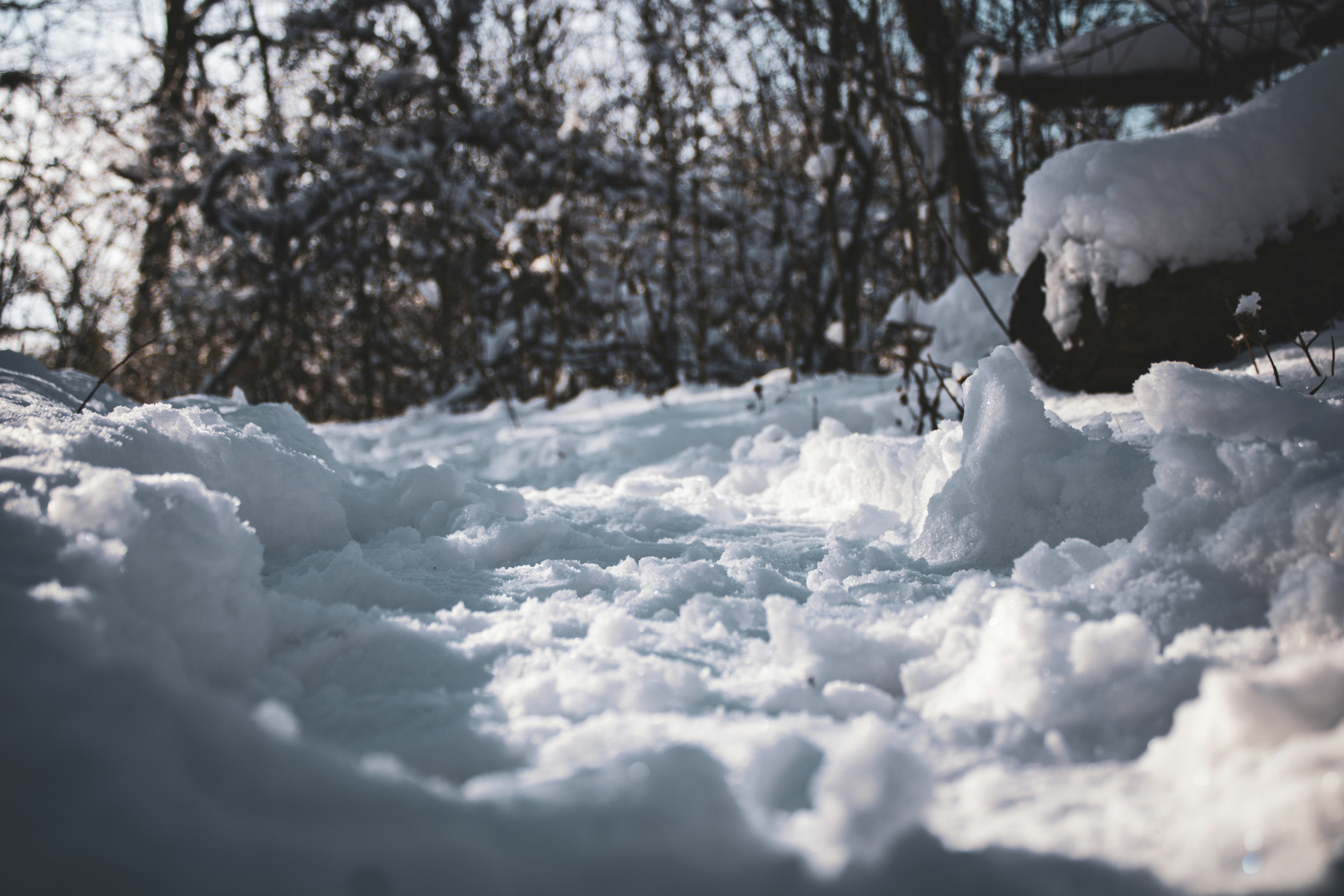 Photo by one23four56