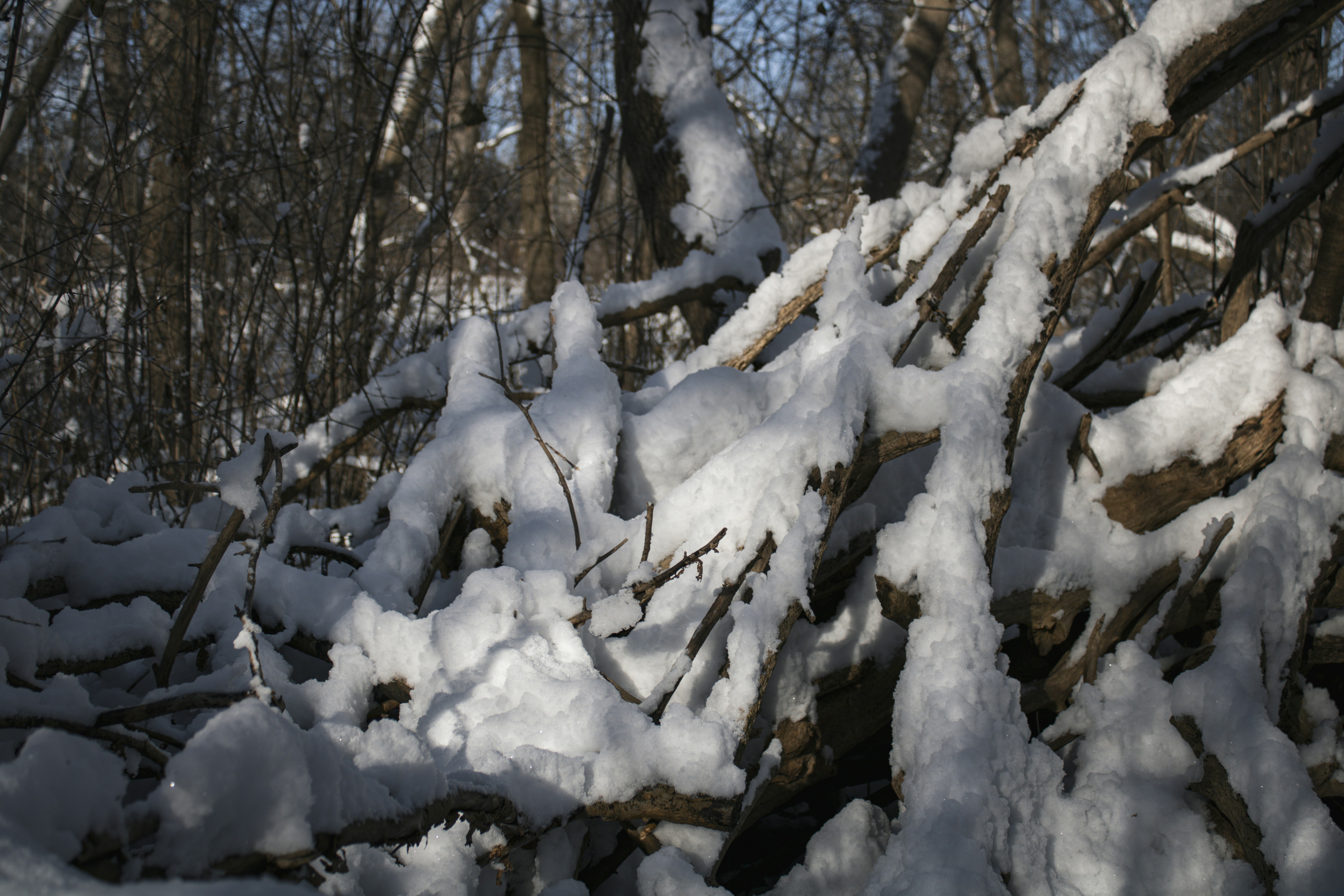 Photo by one23four56