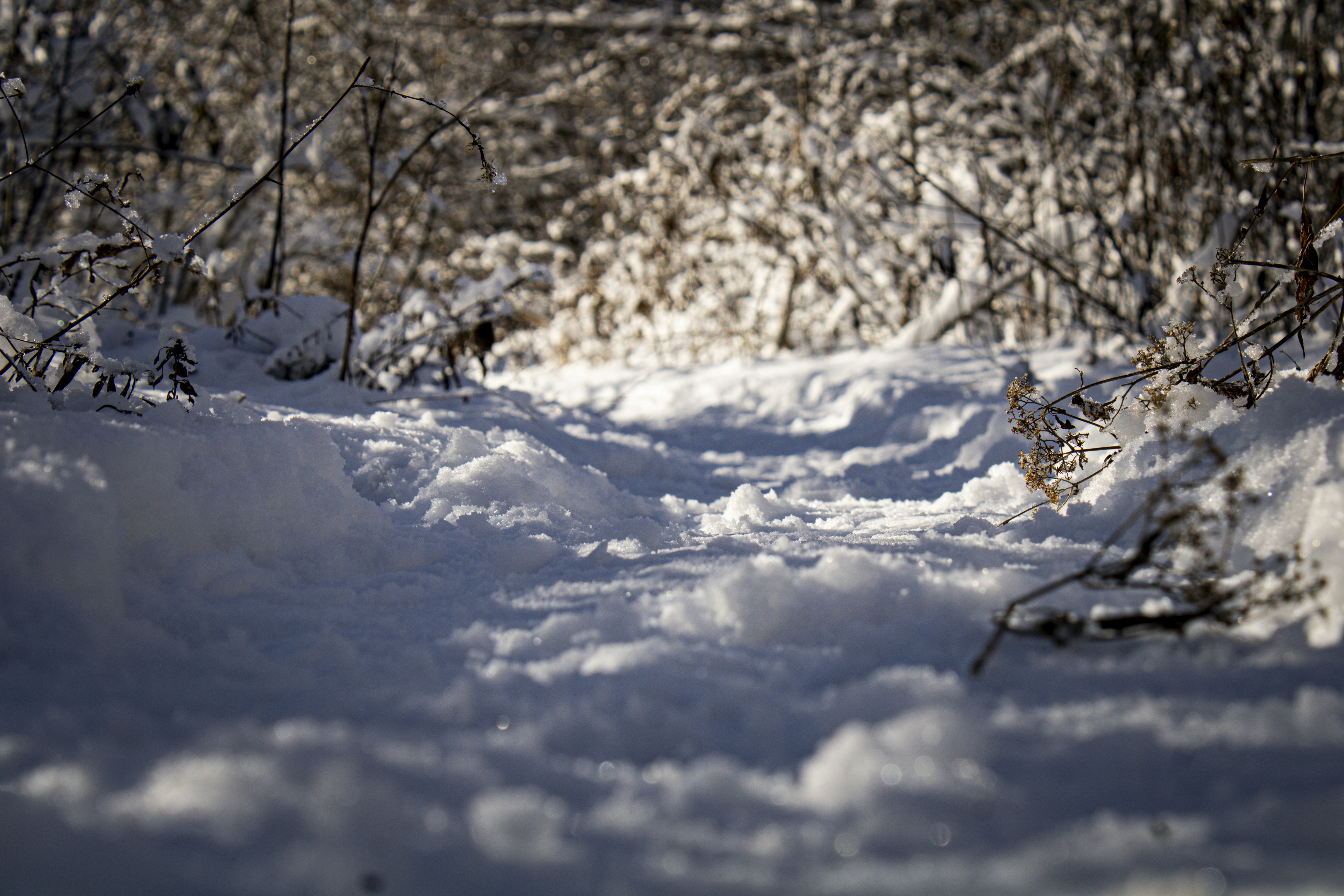 Photo by one23four56