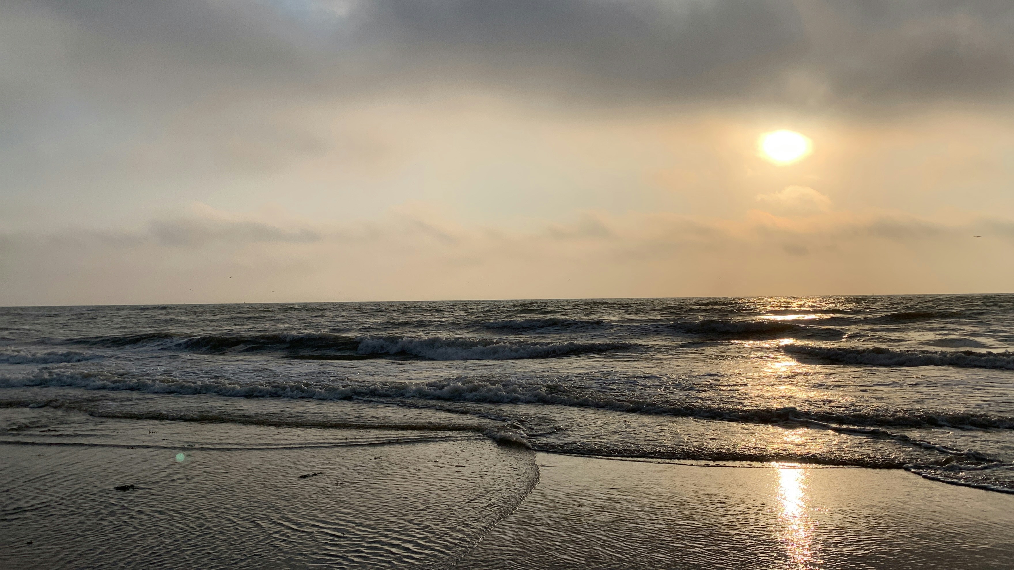 Photo by hafsa_akkouh