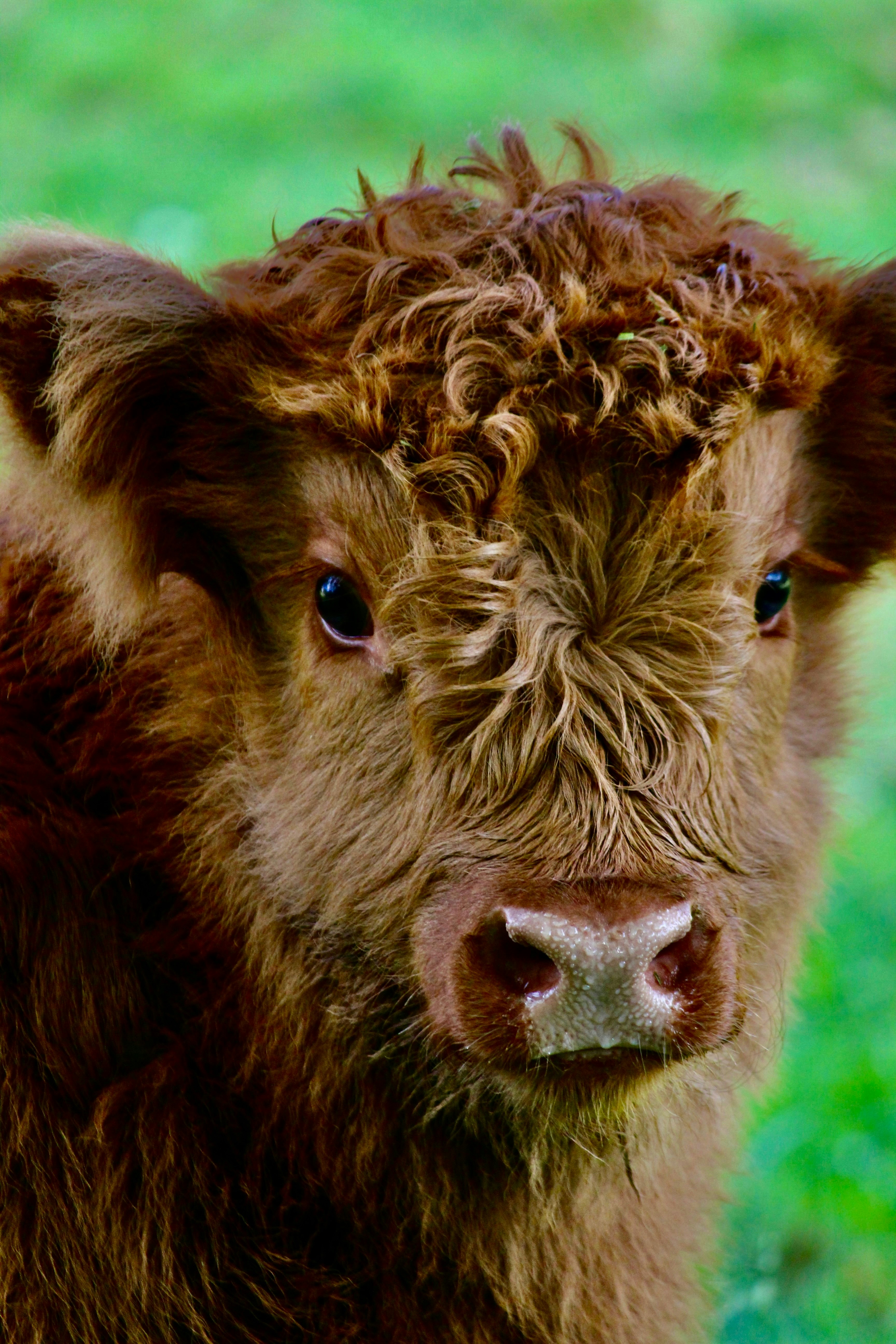 Photo by photography_rhys