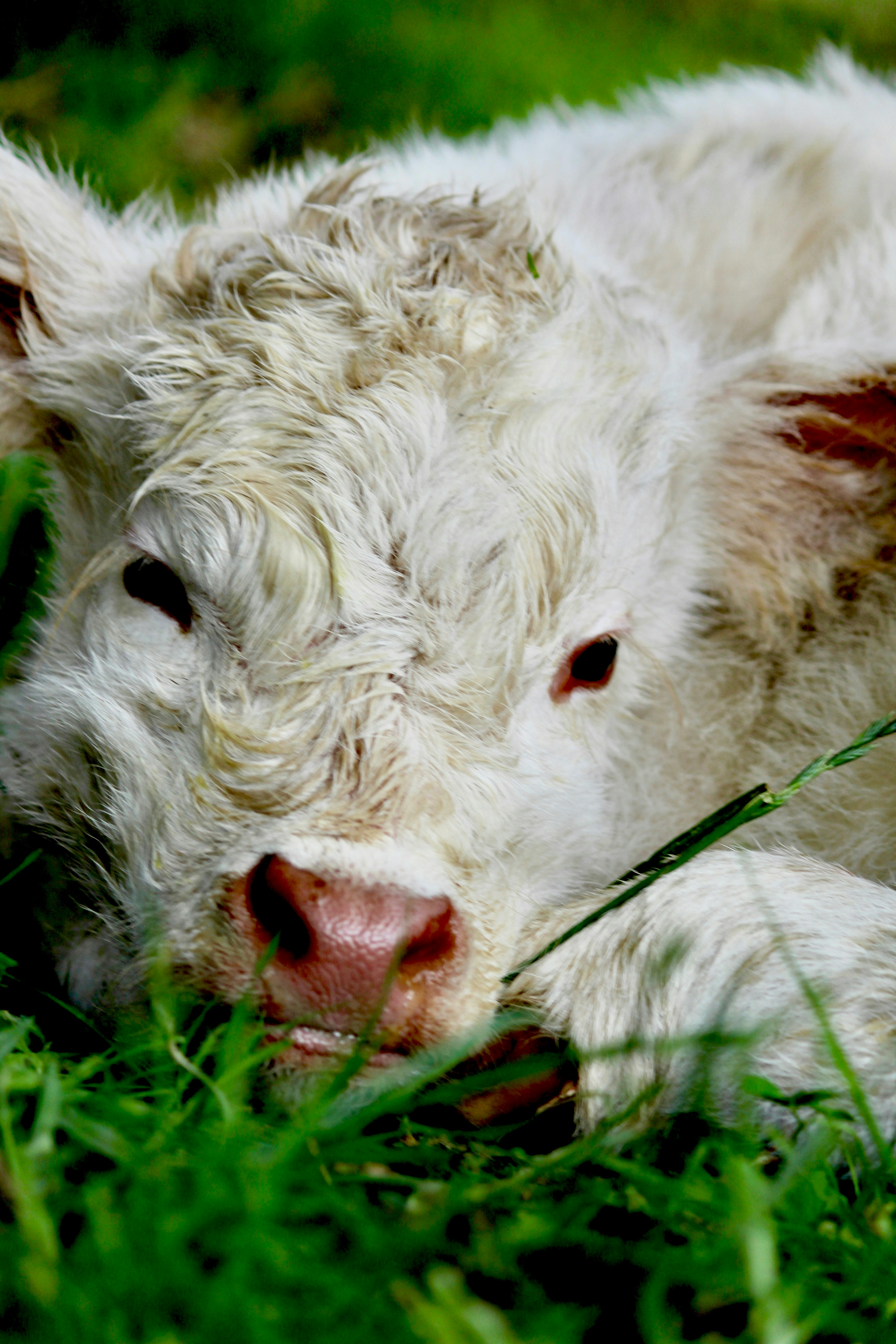 Photo by photography_rhys