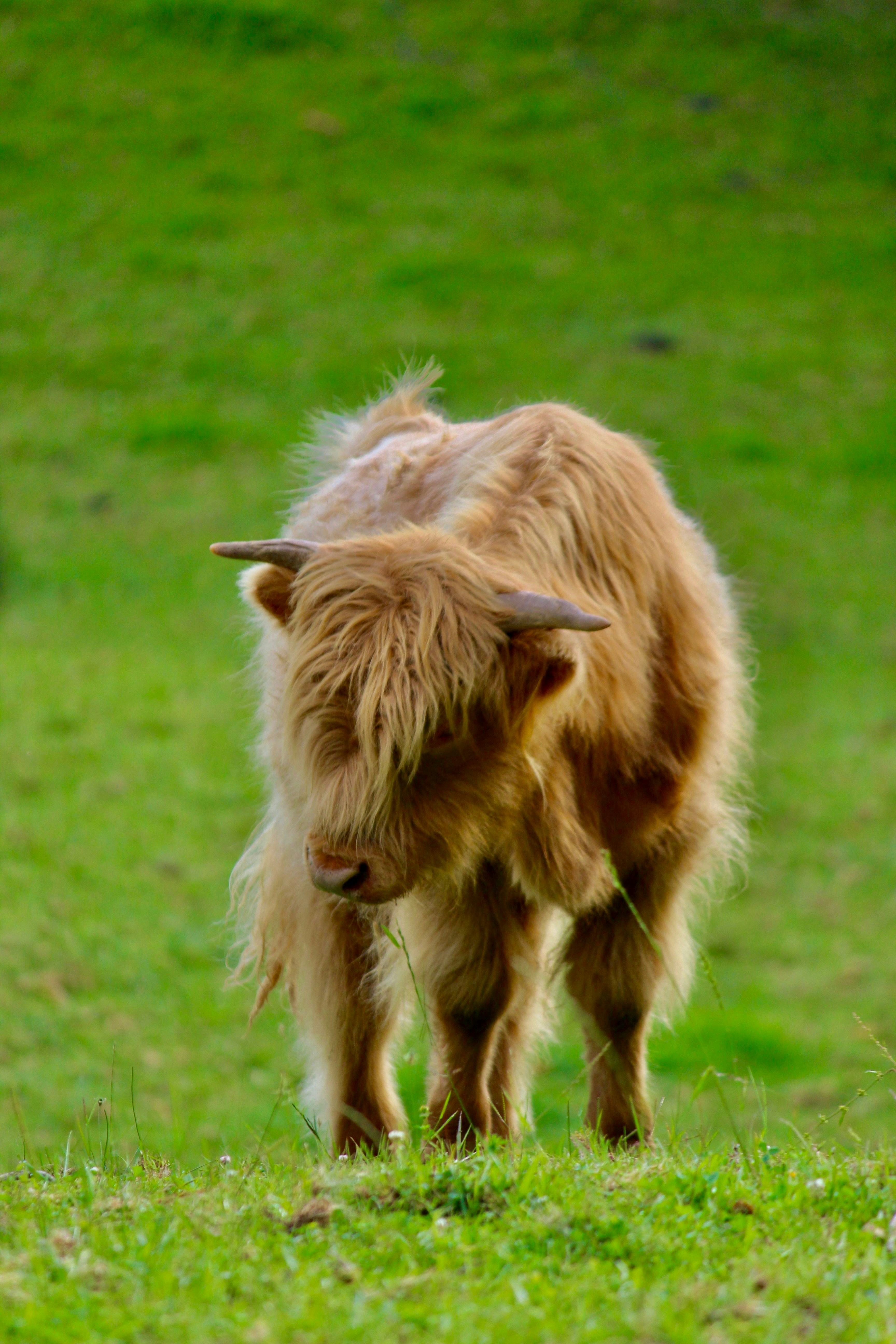 Photo by photography_rhys