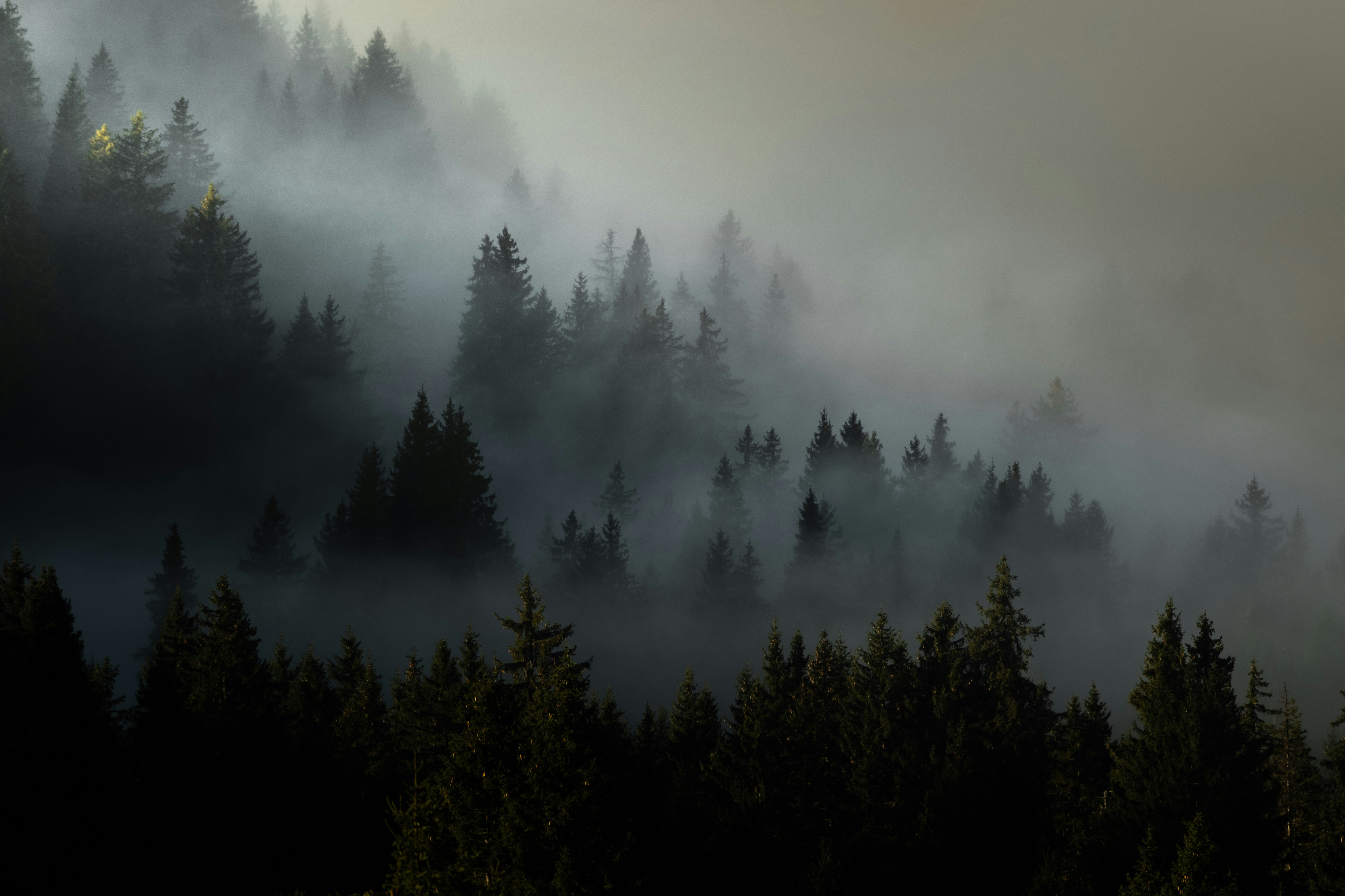 Photo by flousentimental