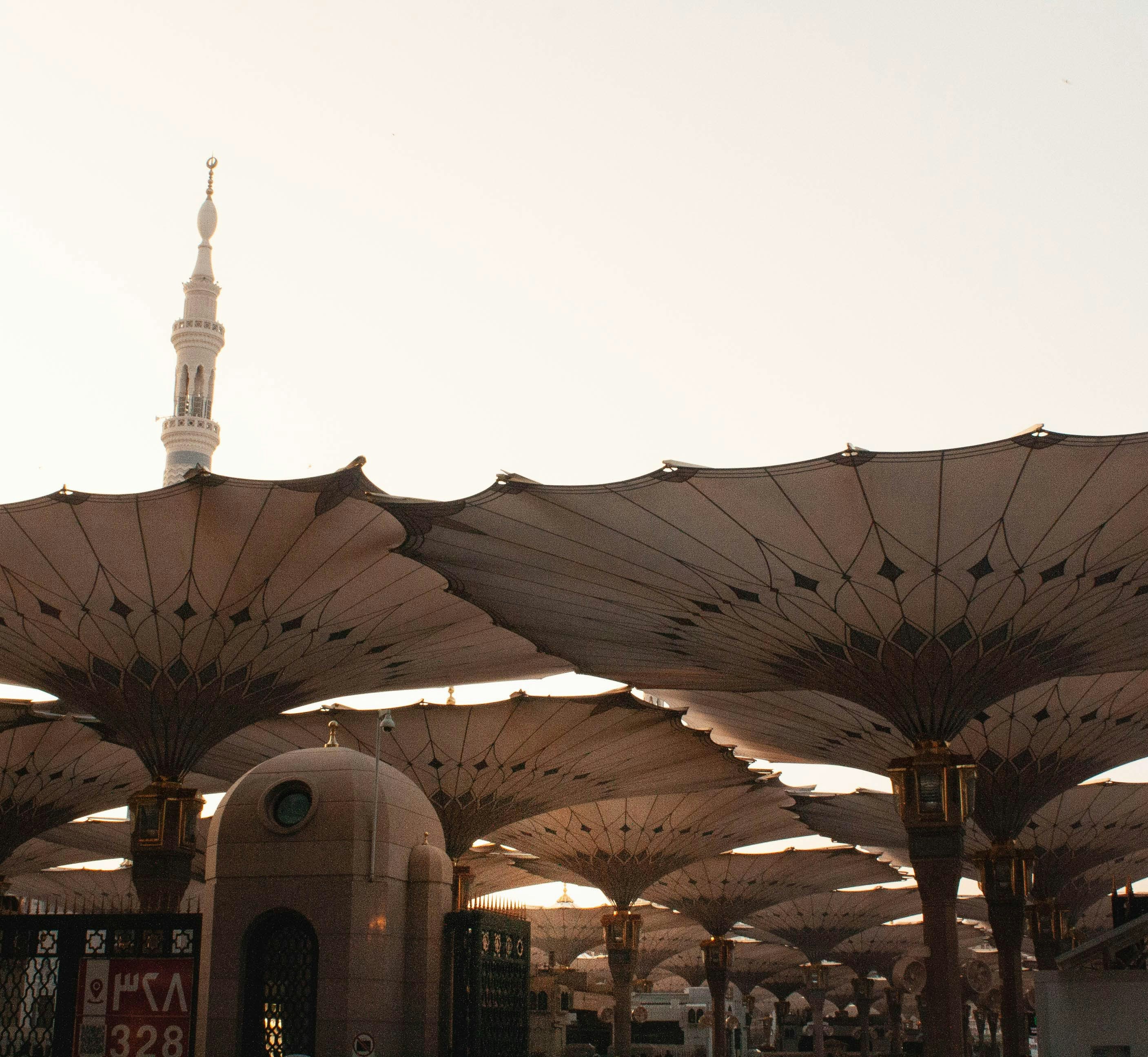 Photo by thelaibaali